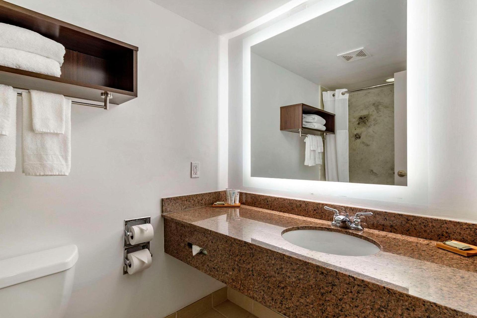 Country Inn & Suites by Radisson, Atlanta Galleria-Ballpark, GA photo 12