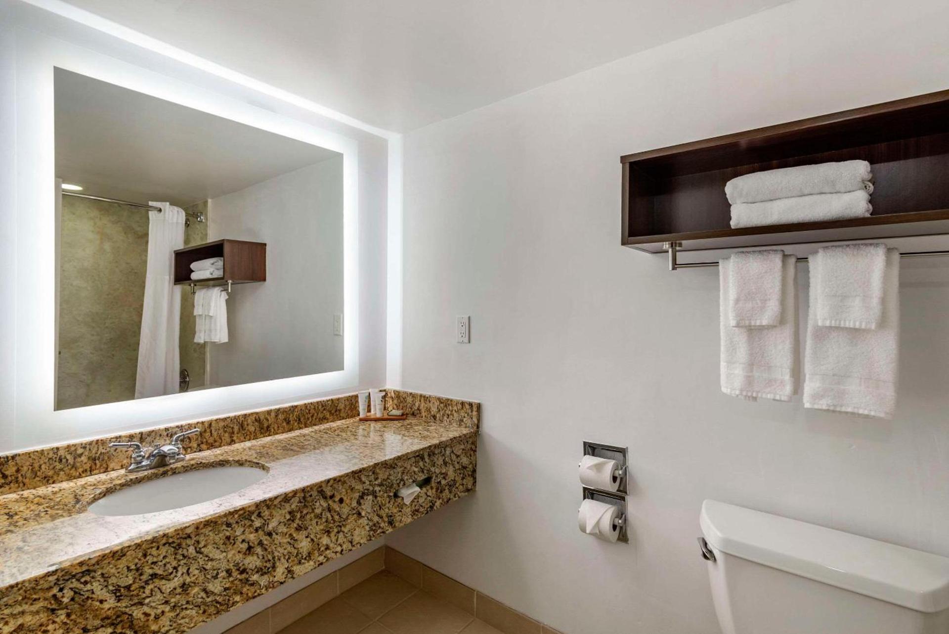 Country Inn & Suites by Radisson, Atlanta Galleria-Ballpark, GA photo 13