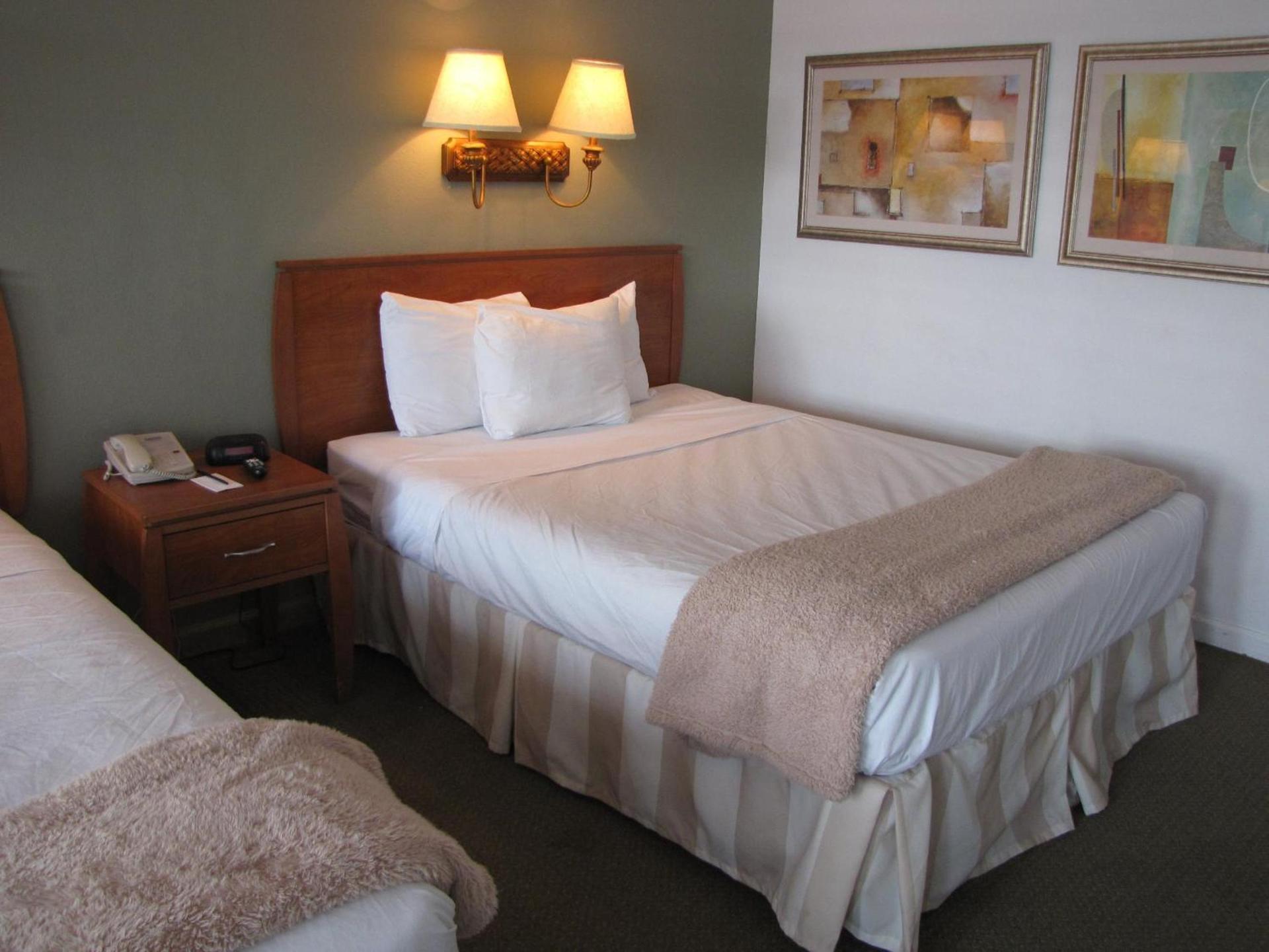 Blue Marlin Motel photo 4