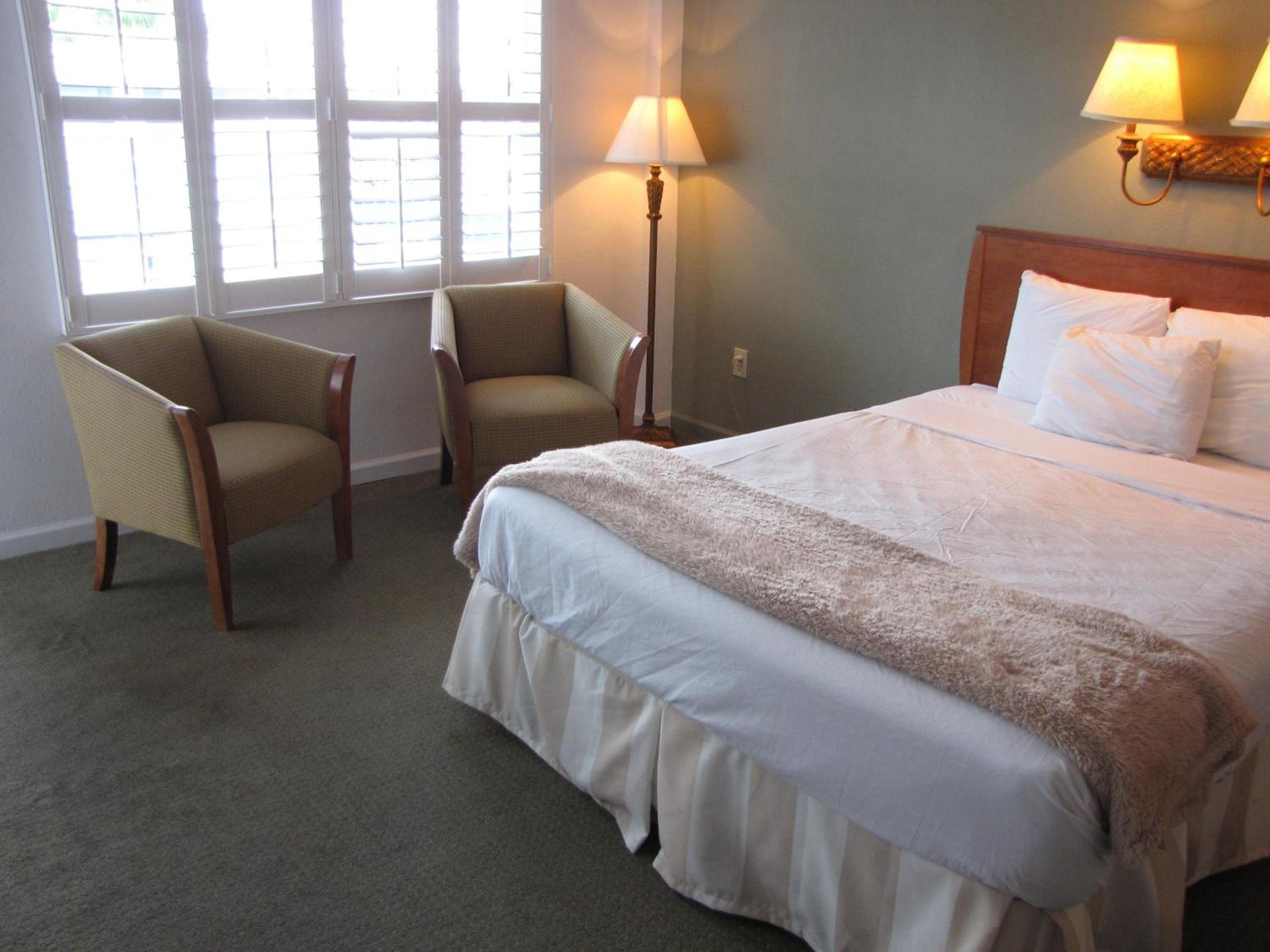 Blue Marlin Motel photo 5