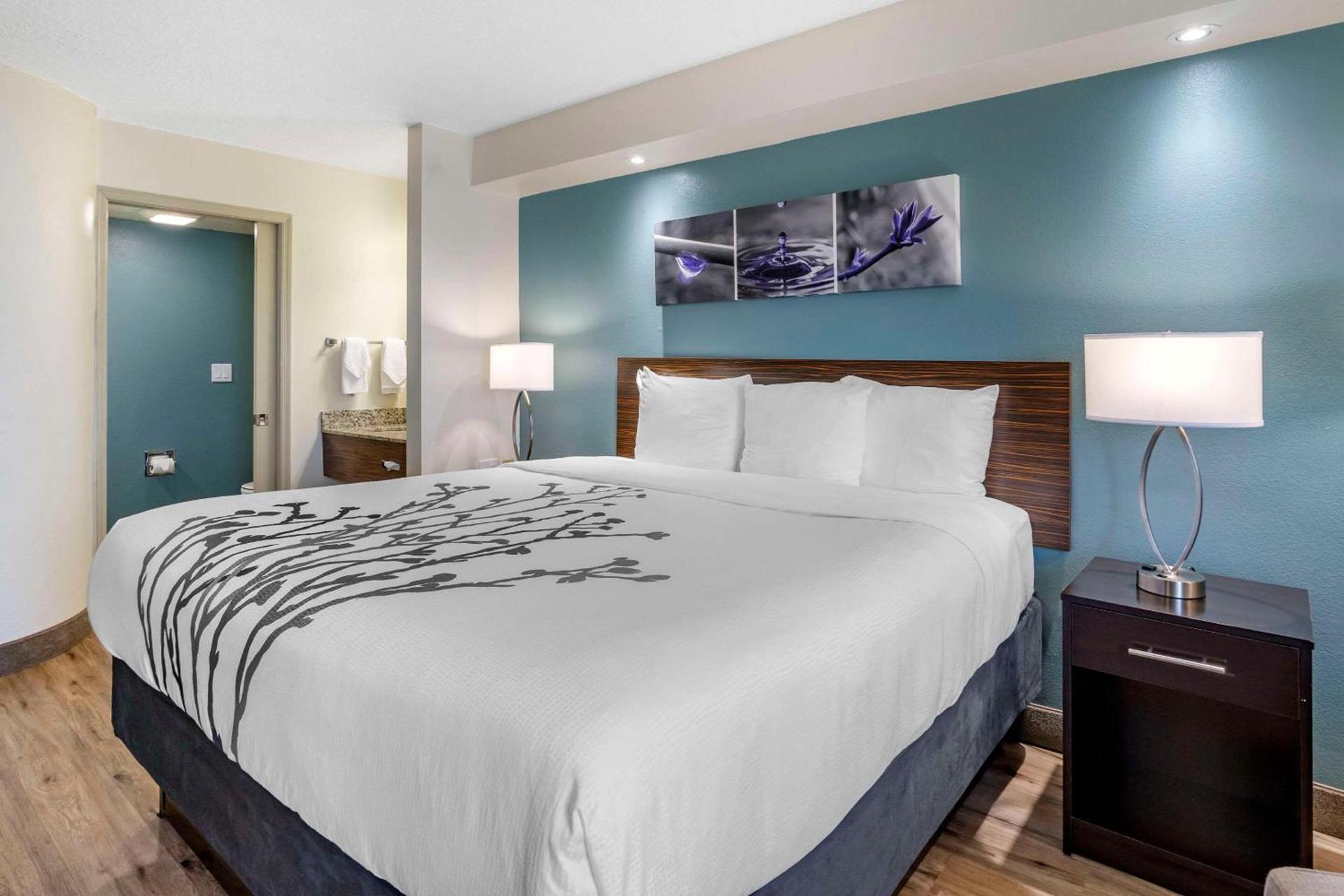 Sleep Inn Clearwater-St Petersburg photo 6