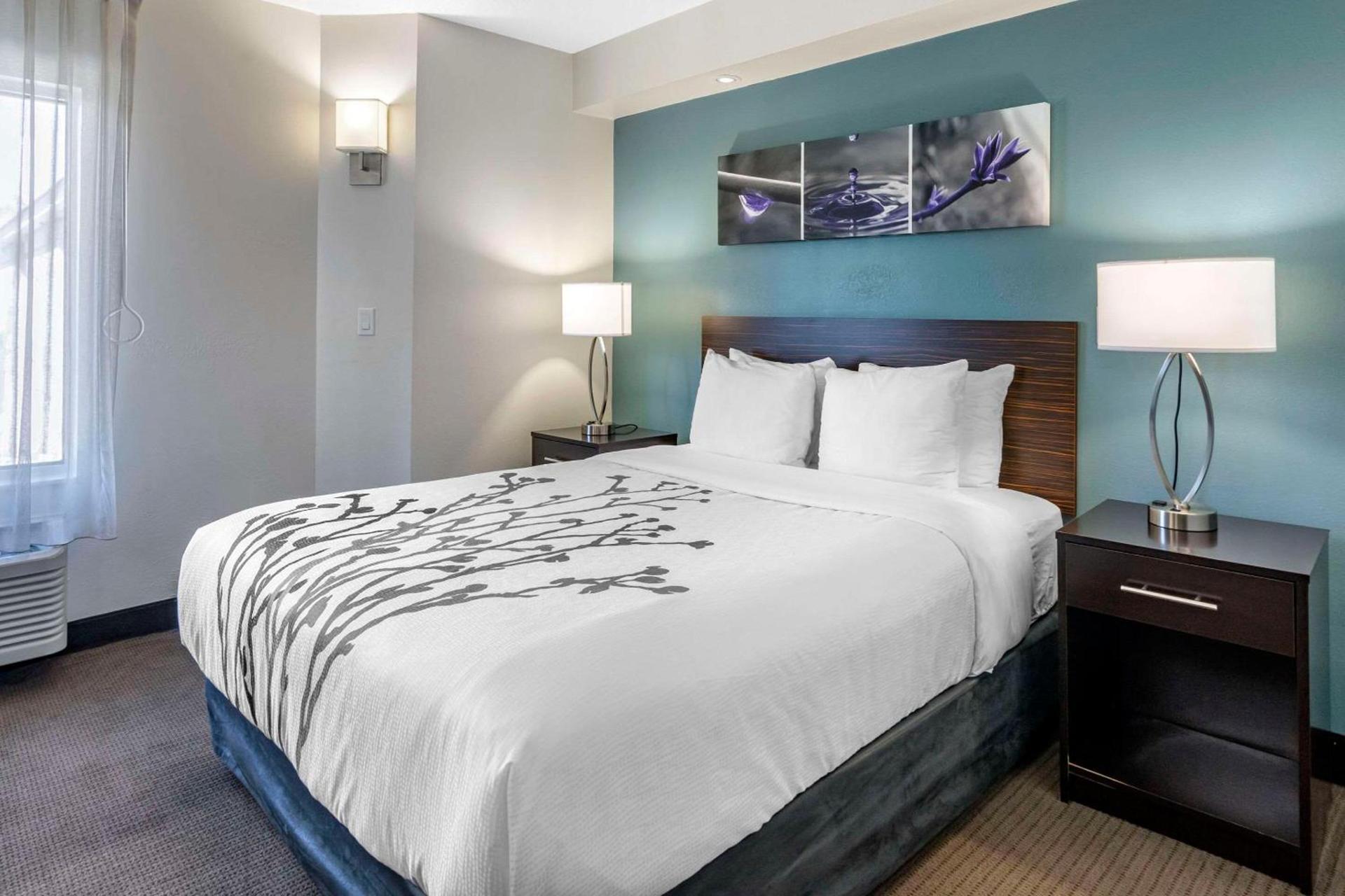 Sleep Inn Clearwater-St Petersburg photo 9