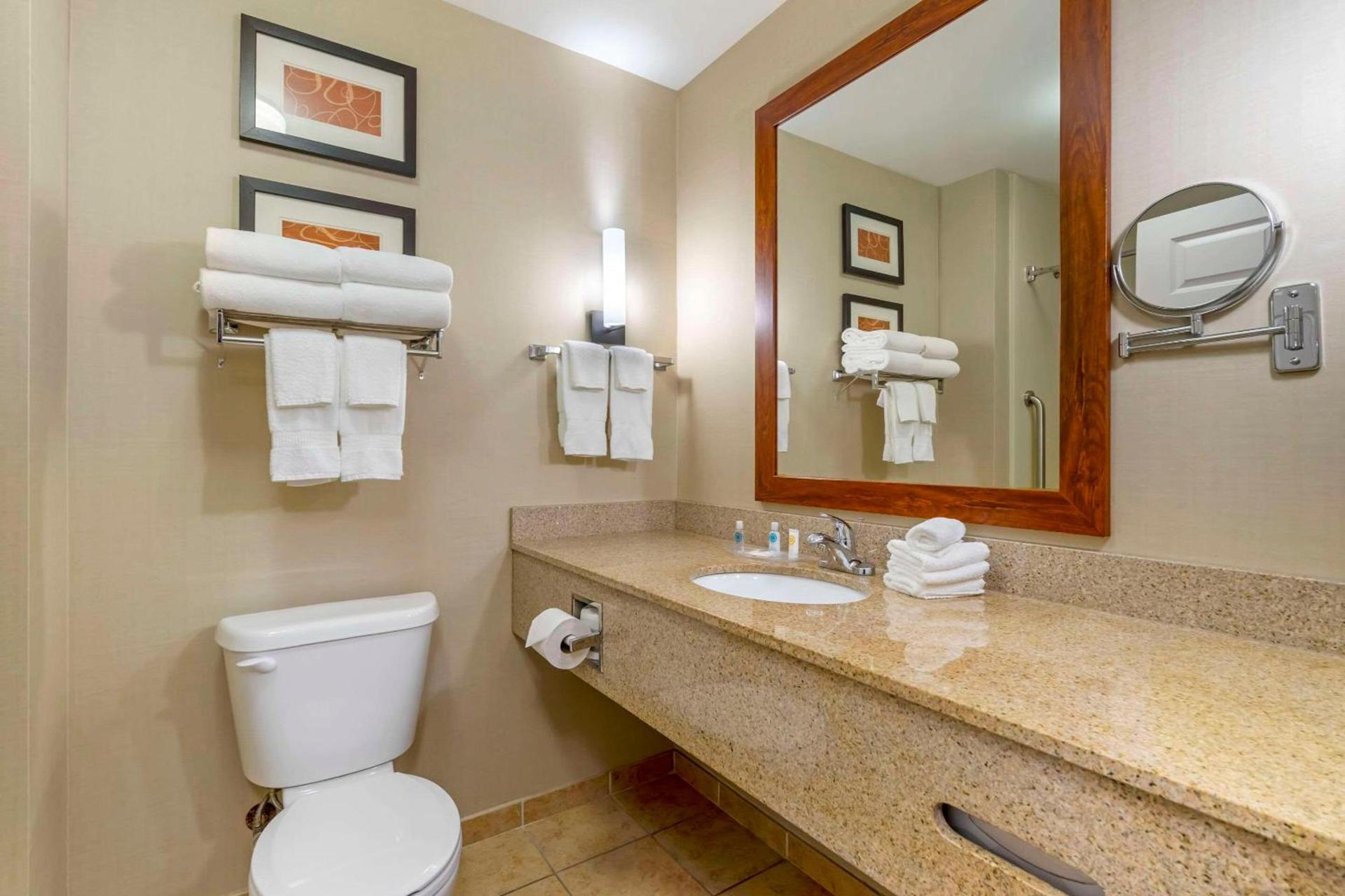 Comfort Suites Sarasota-Siesta Key photo 8