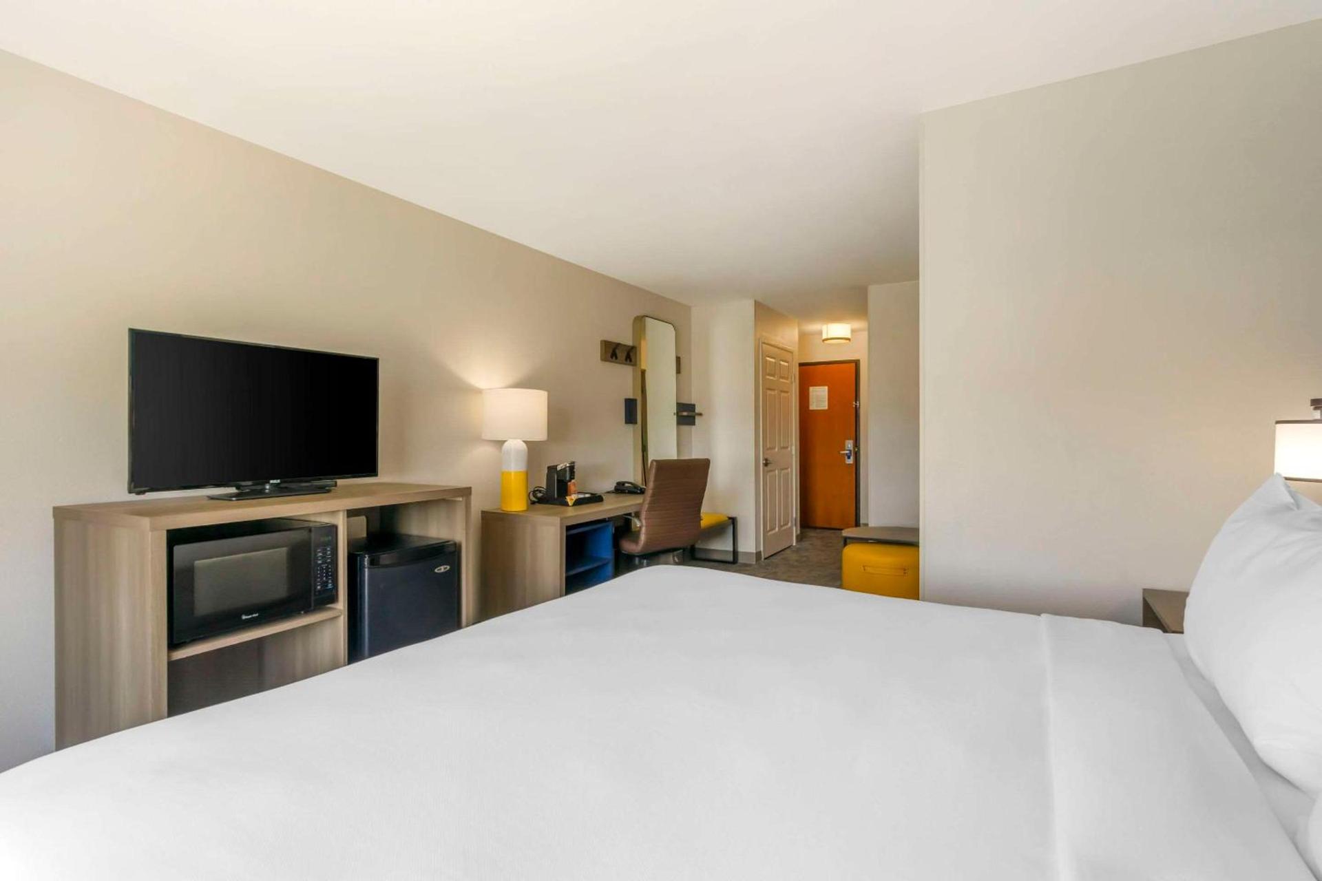 Comfort Suites Sarasota-Siesta Key photo 16