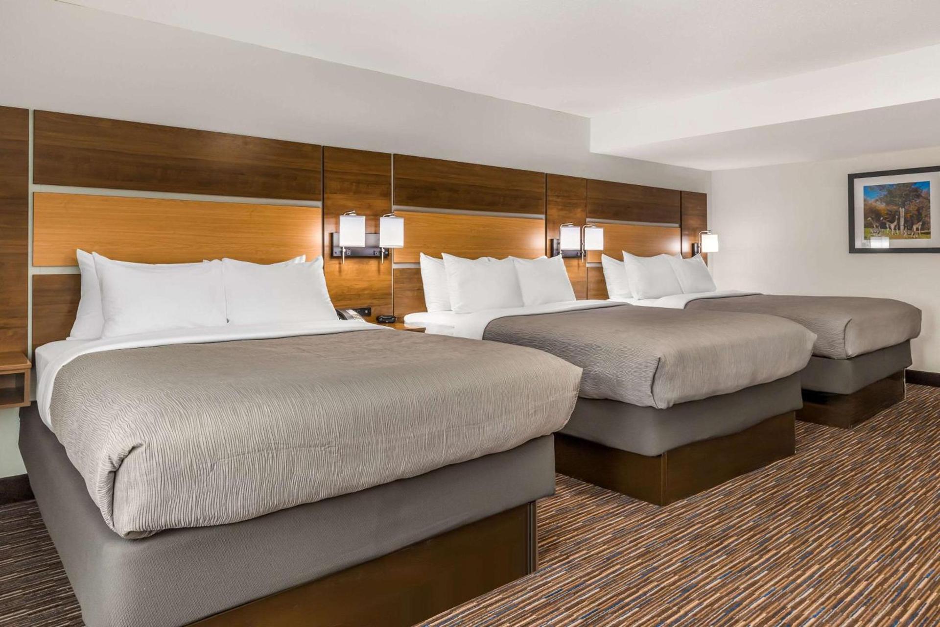Quality Inn Asheboro South photo 19
