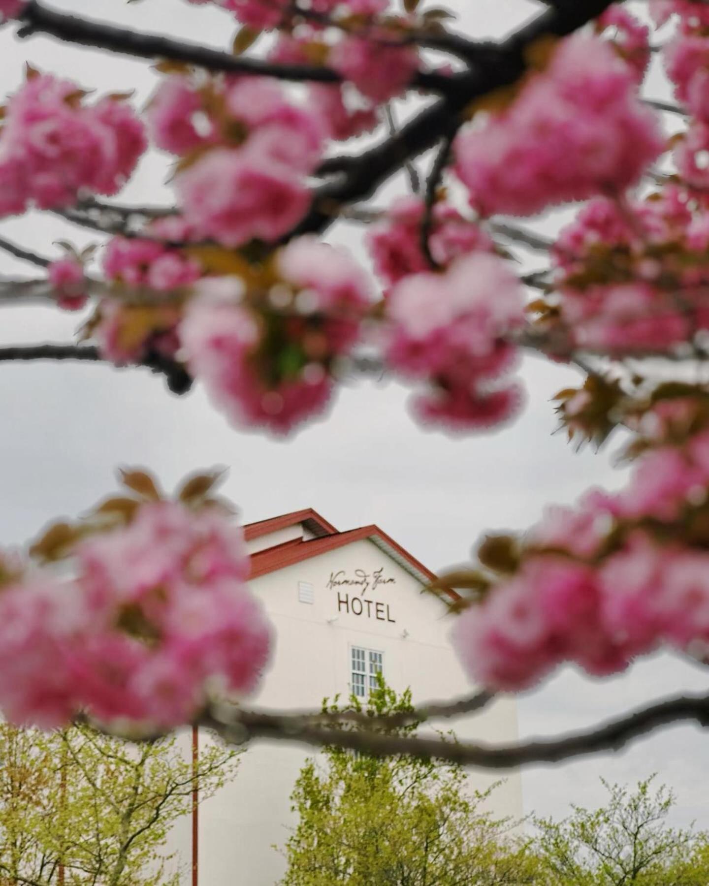 Normandy Farm Hotel & Conference Center photo 1