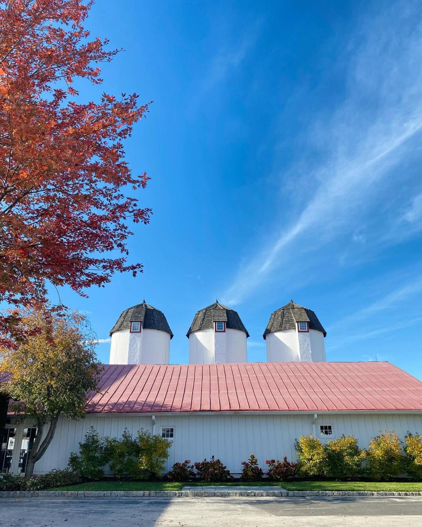 Normandy Farm Hotel & Conference Center photo 19