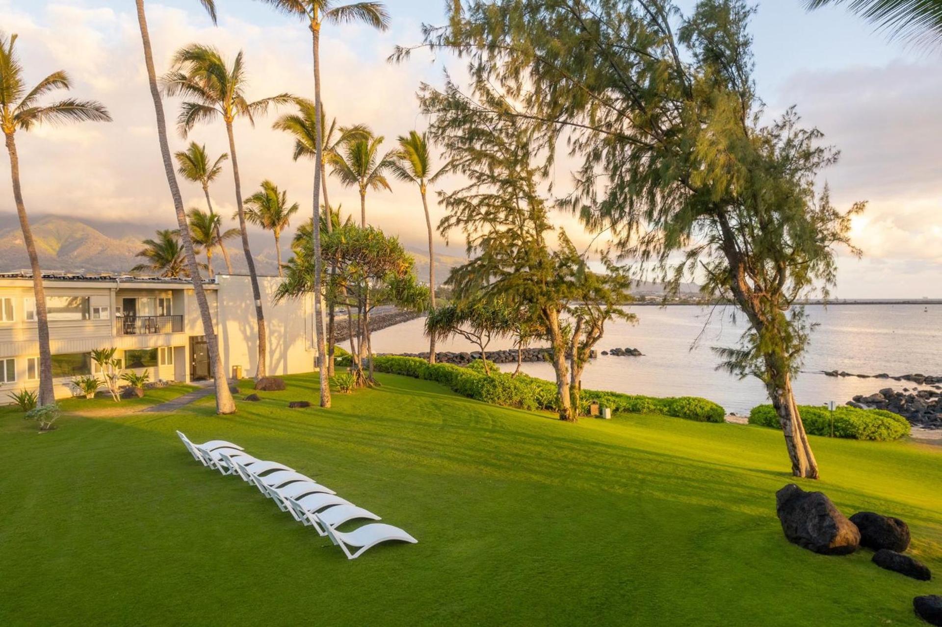 Maui Beach Hotel photo 66