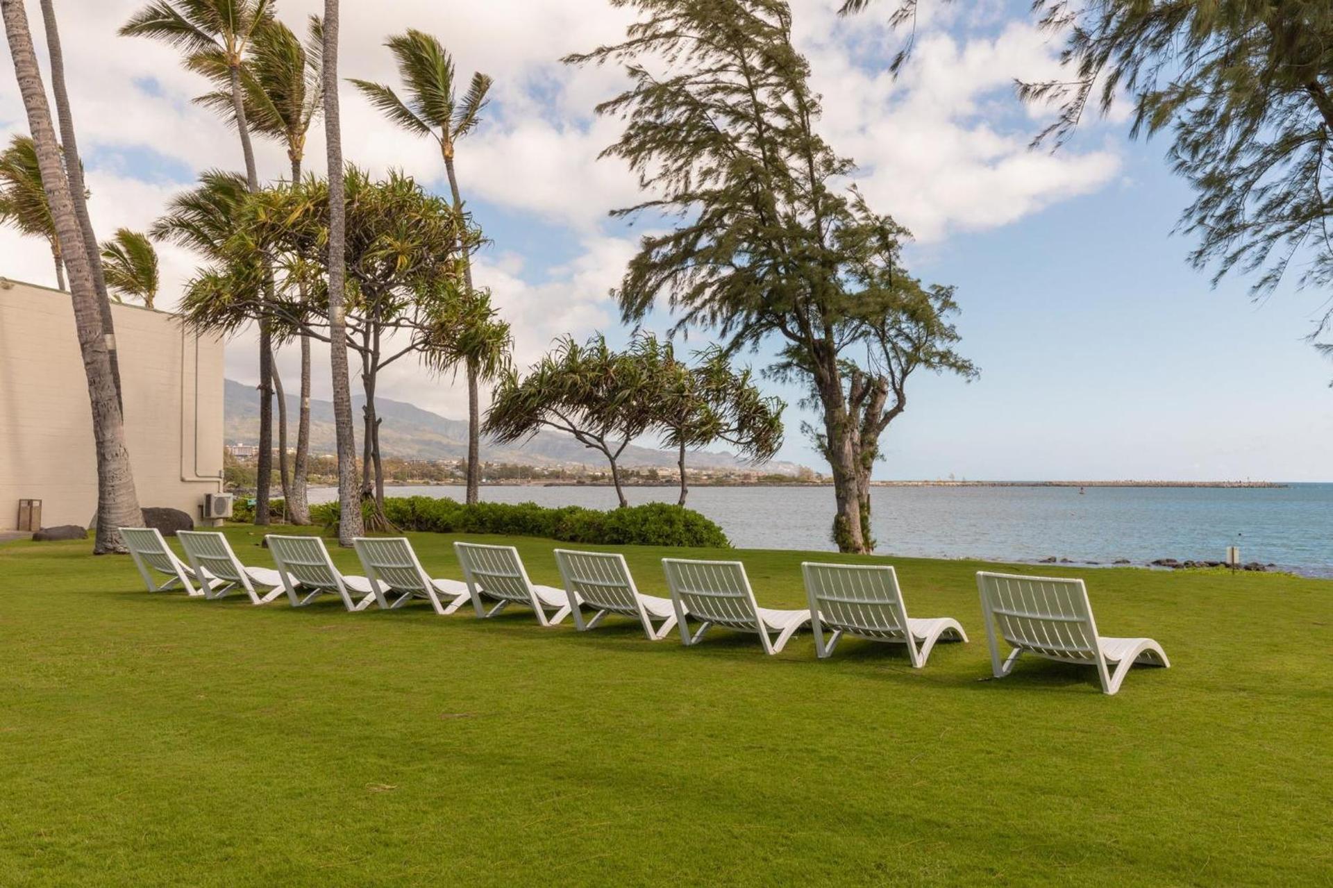 Maui Beach Hotel photo 68
