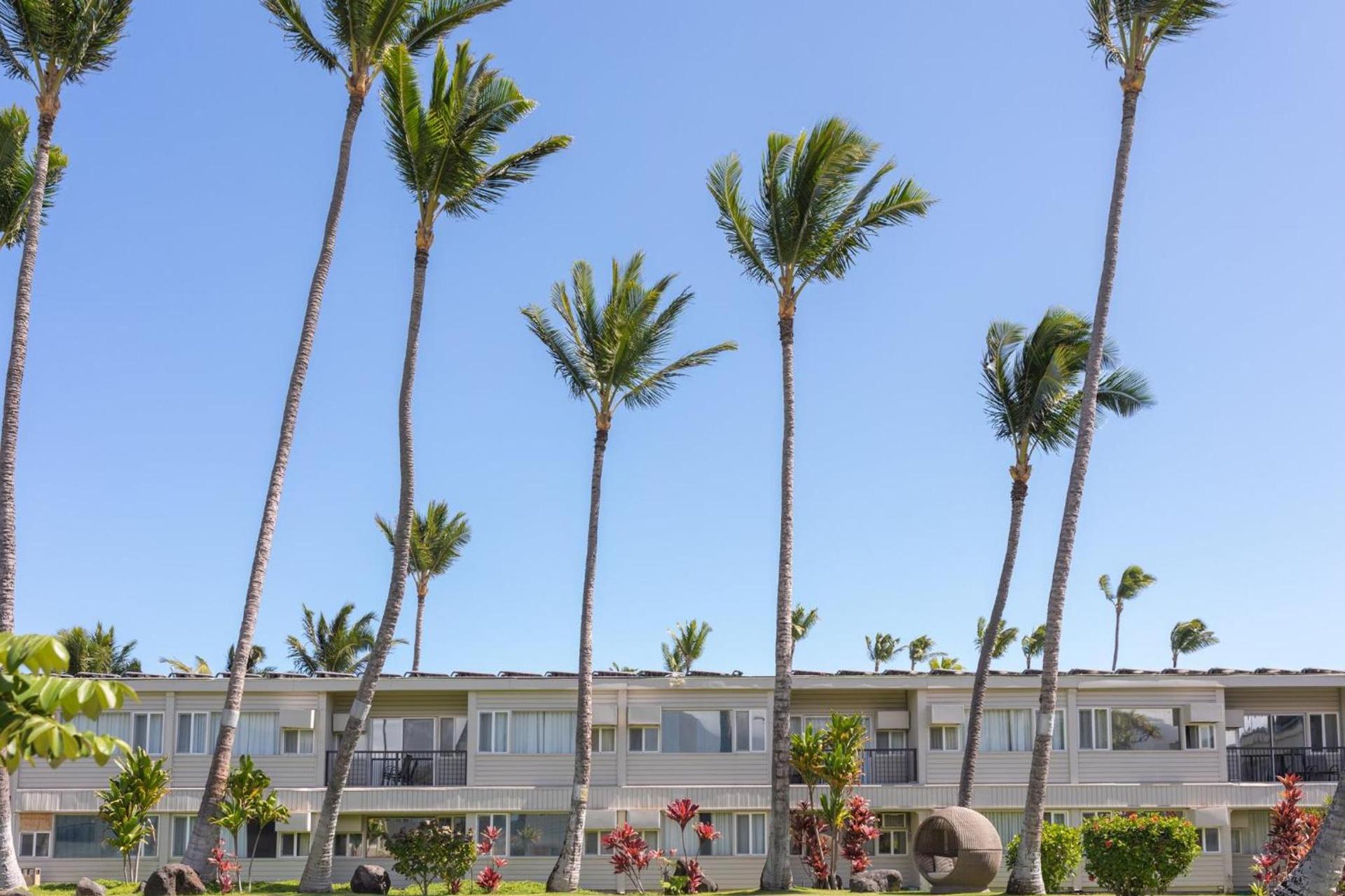 Maui Beach Hotel photo 78