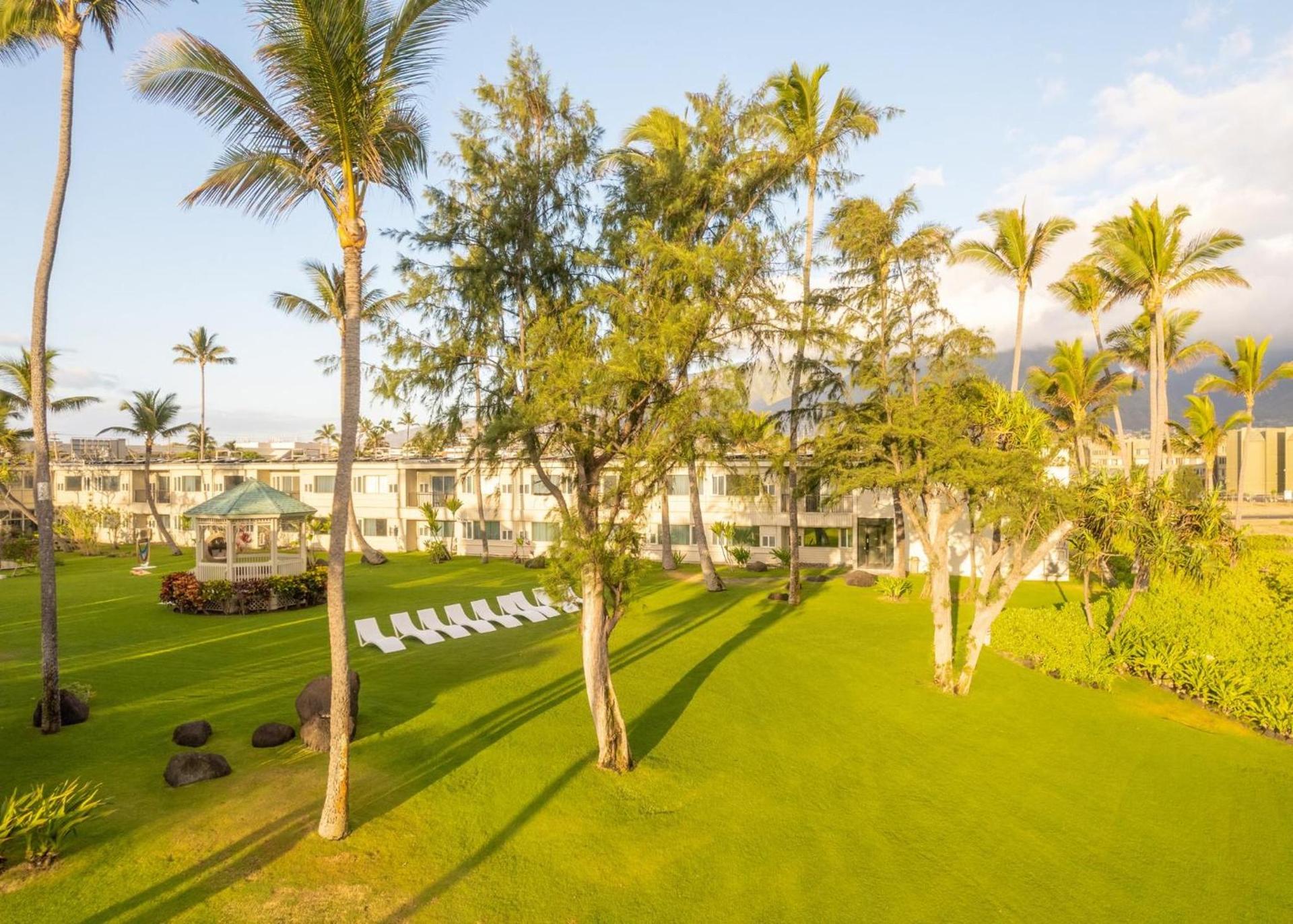 Maui Beach Hotel photo 82