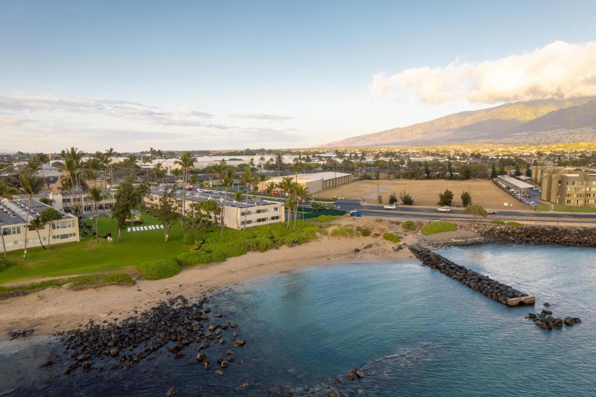Maui Beach Hotel photo 83