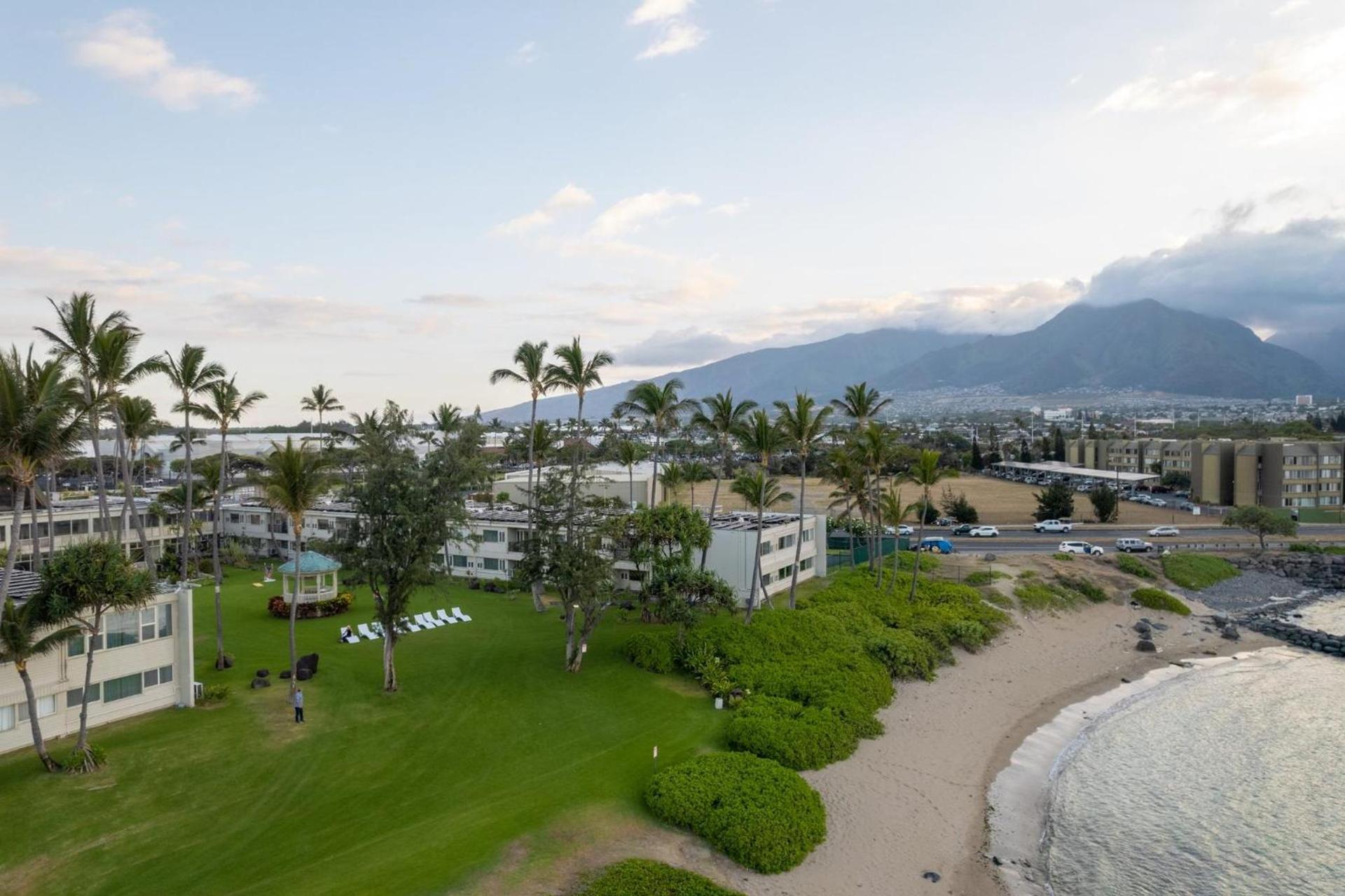 Maui Beach Hotel photo 84