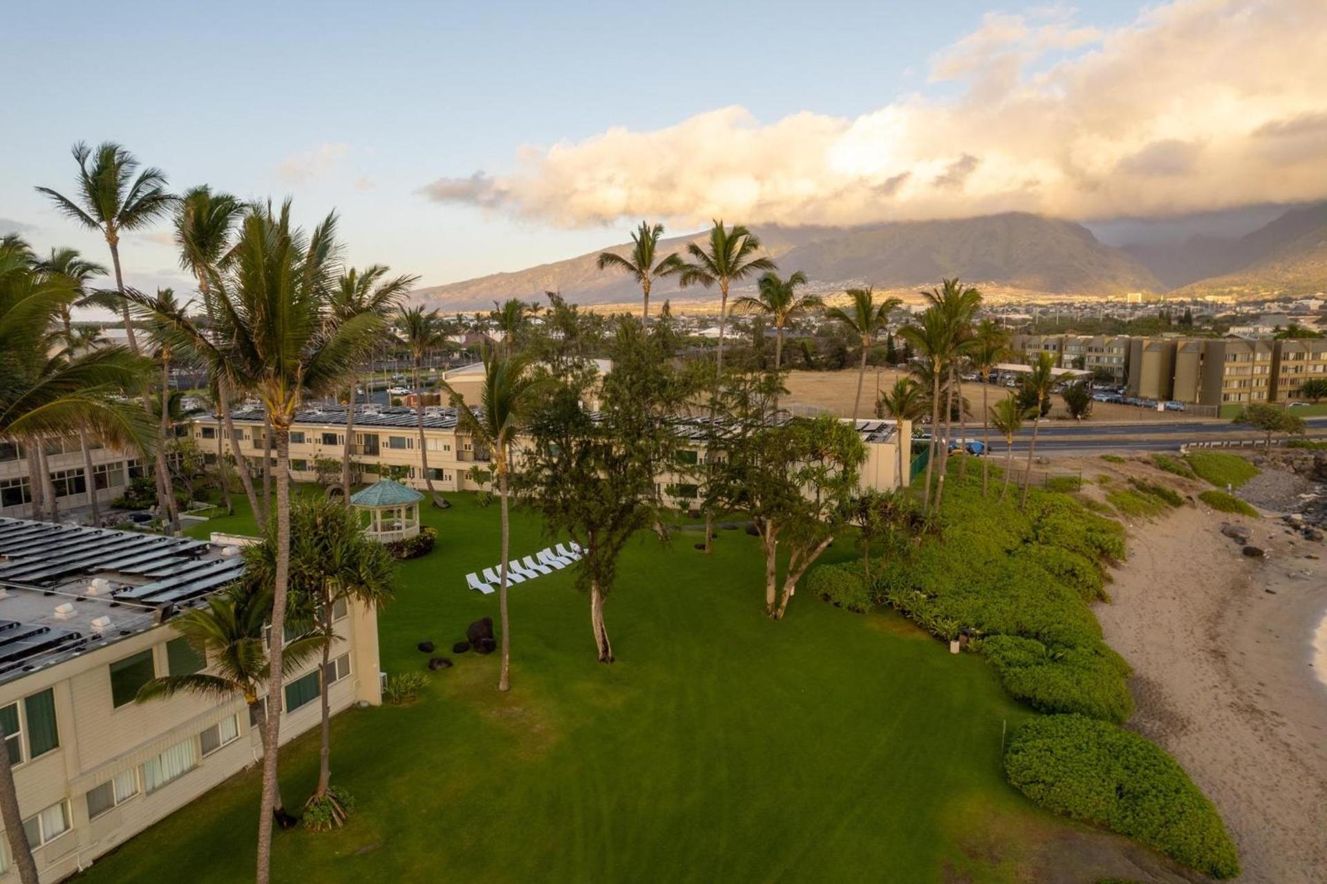 Maui Beach Hotel photo 87