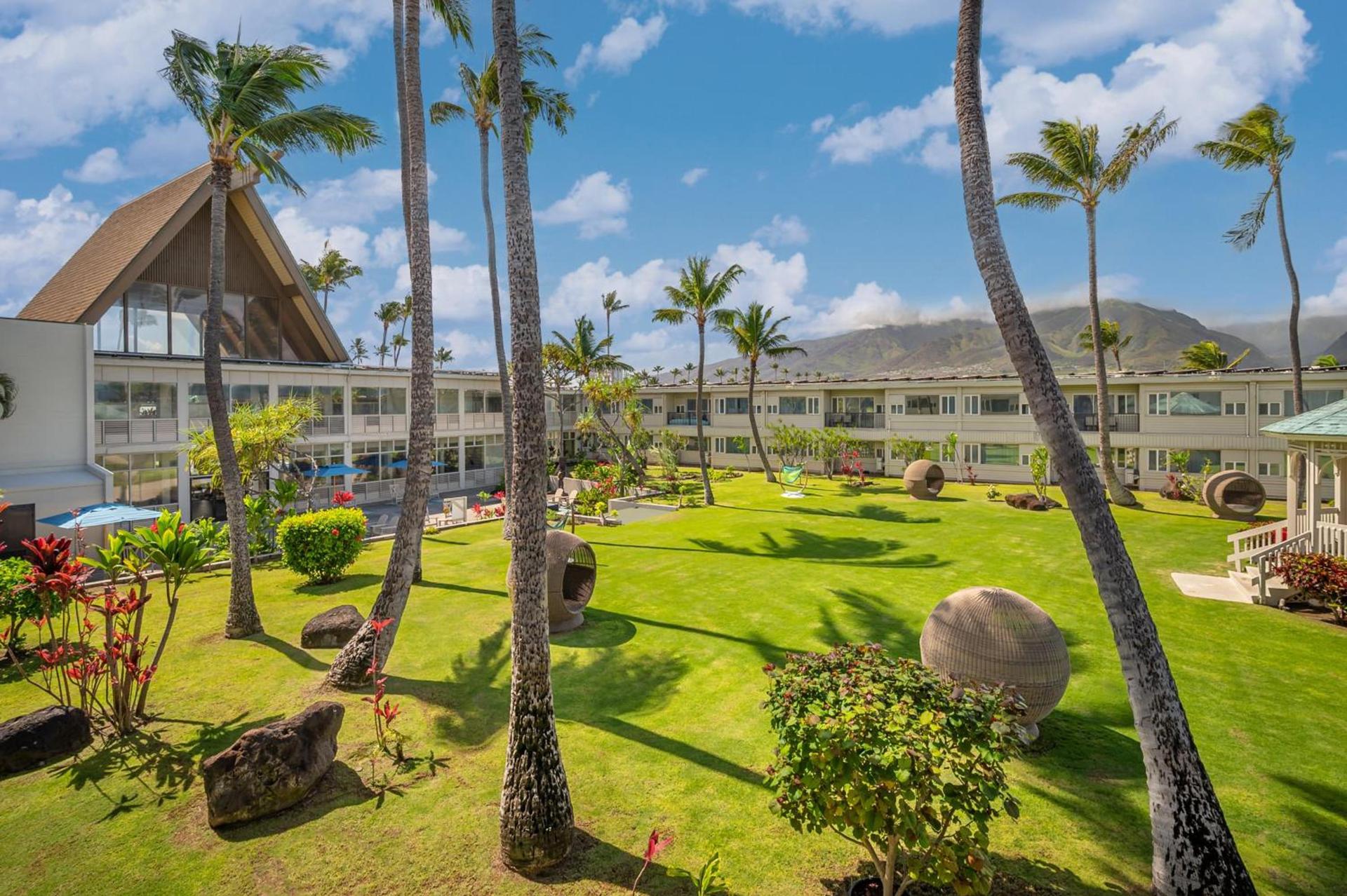 Maui Beach Hotel photo 86