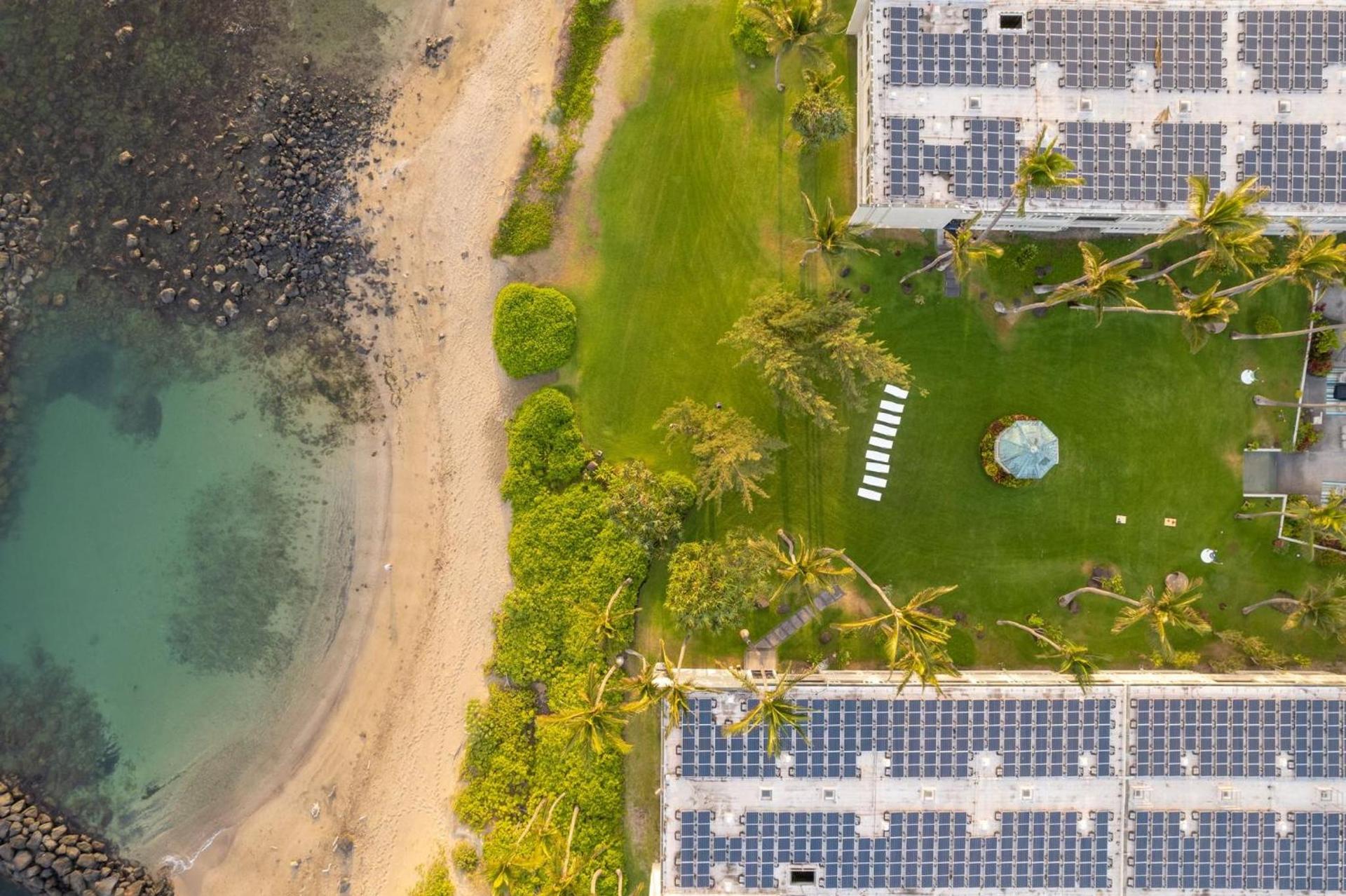 Maui Beach Hotel photo 8