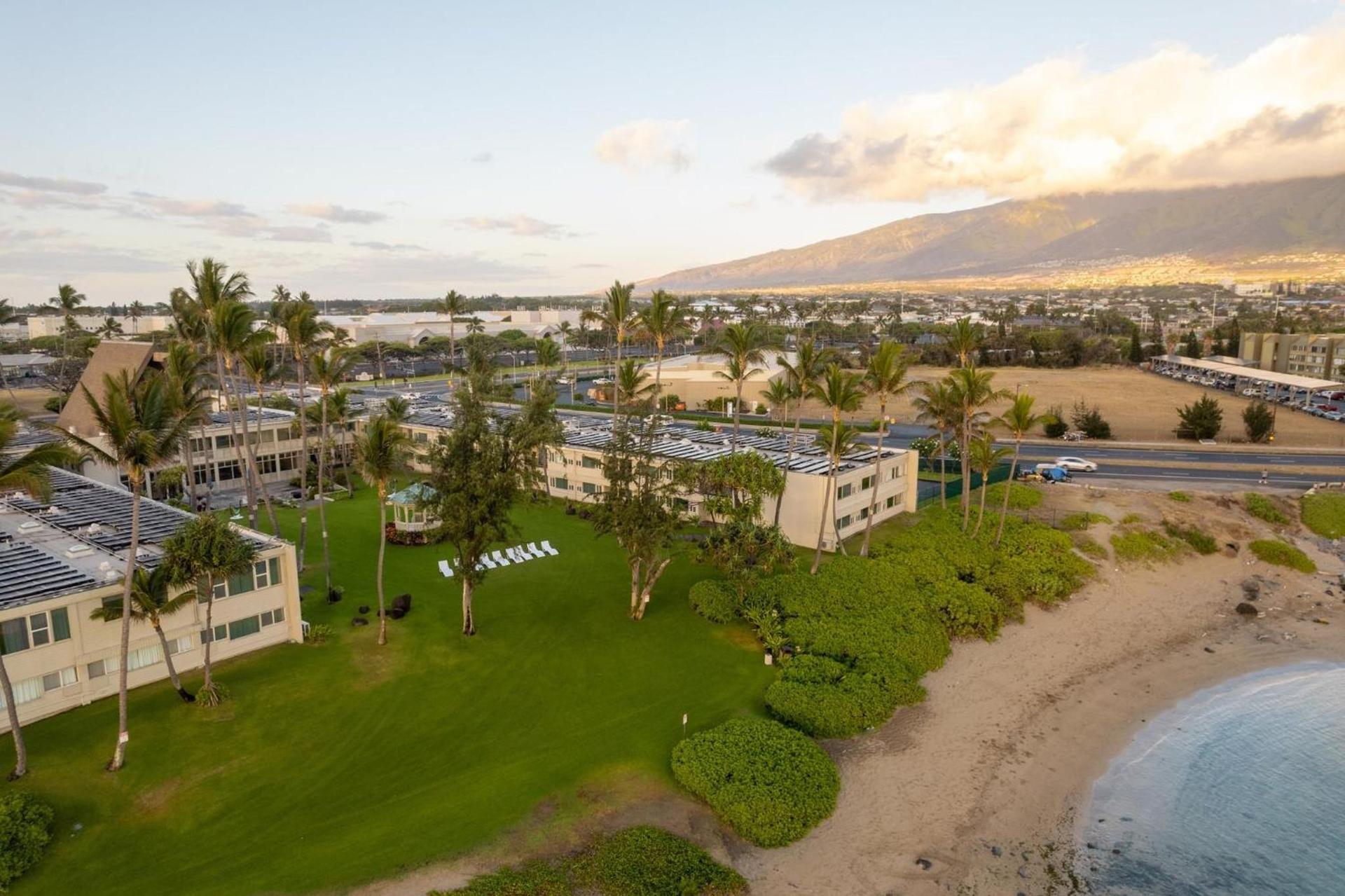 Maui Beach Hotel photo 70