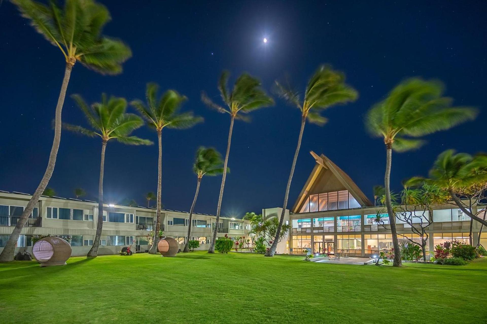Maui Beach Hotel photo 98