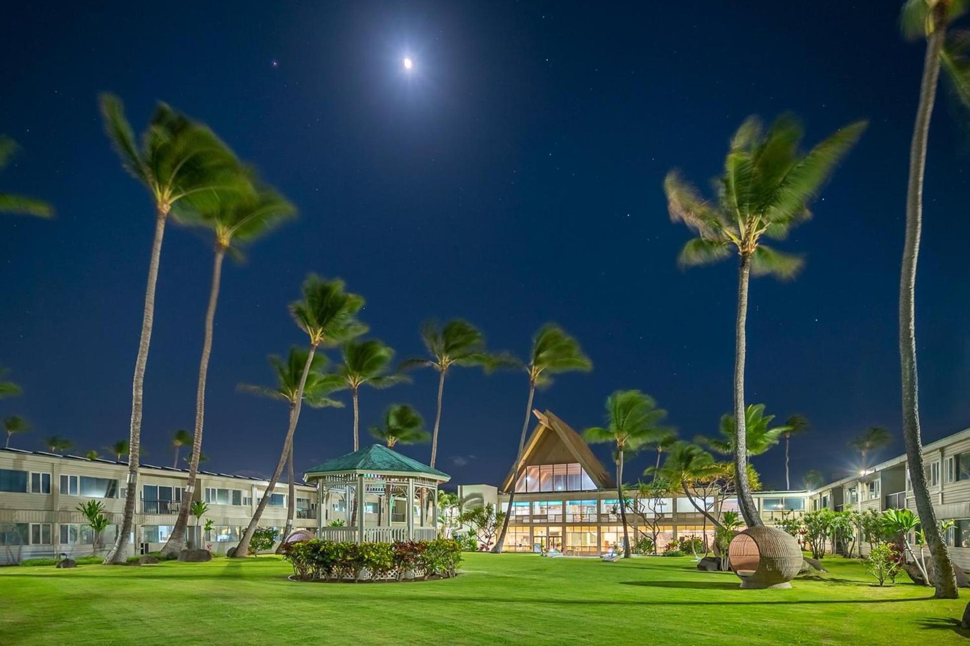 Maui Beach Hotel photo 100