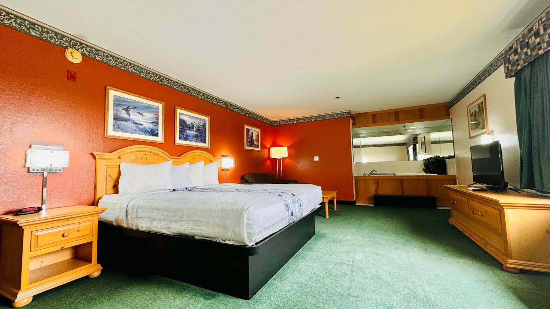 Regency Inn and Suites photo 46