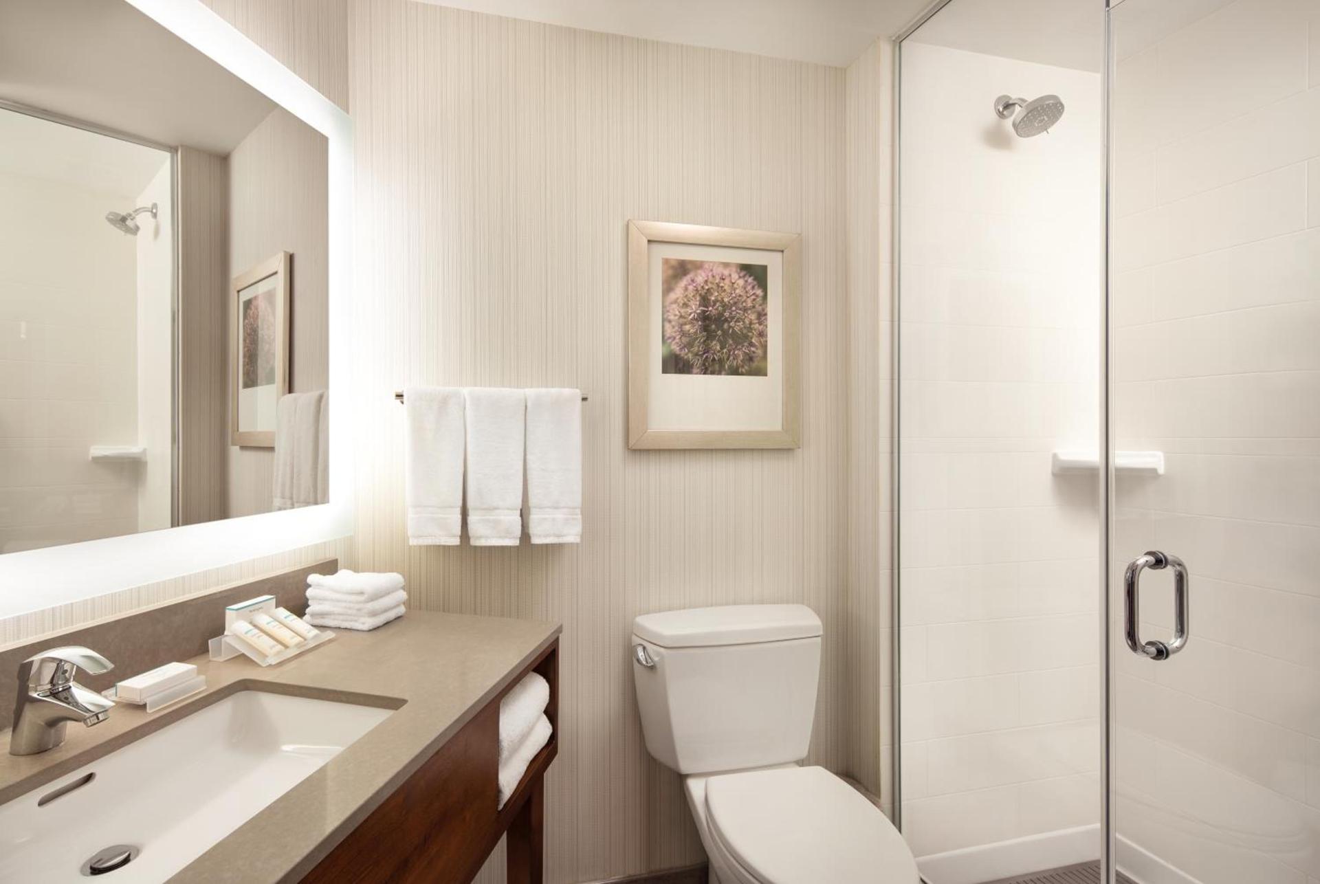 Hilton Garden Inn Long Island City photo 45