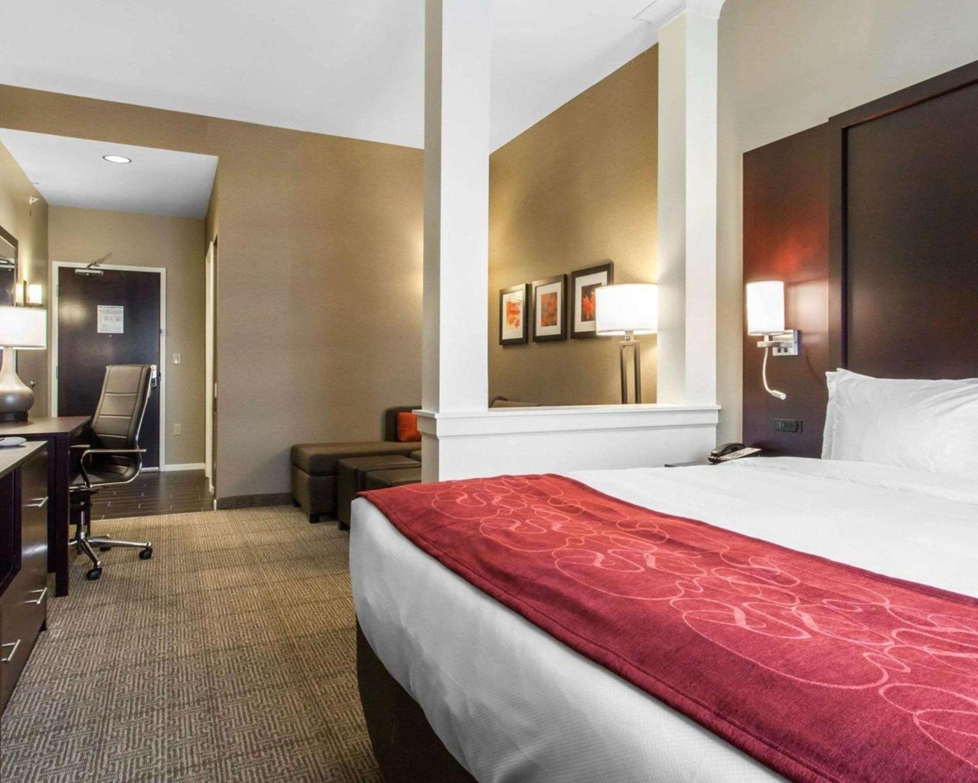 Comfort Suites-Youngstown North photo 7