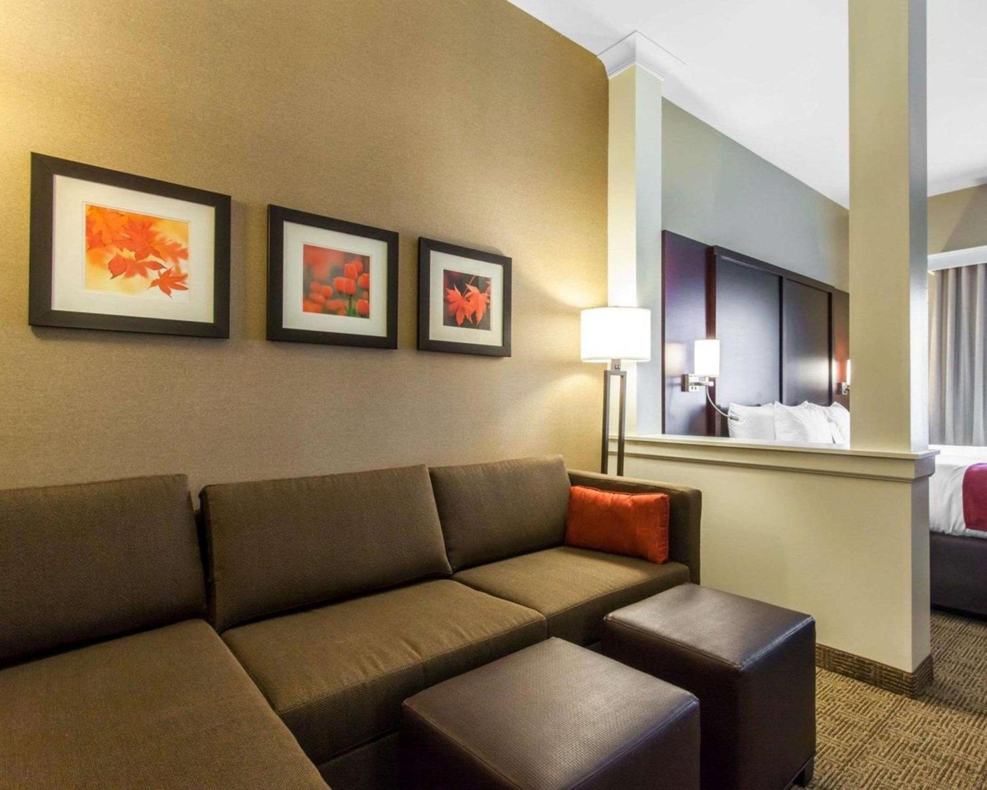 Comfort Suites-Youngstown North photo 9