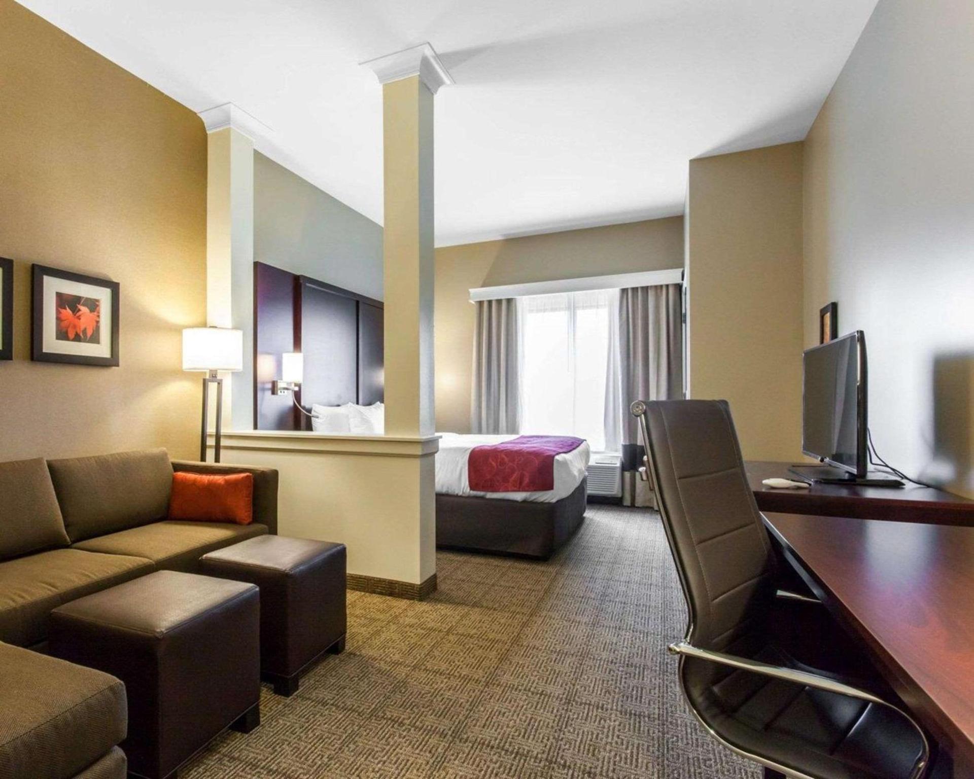 Comfort Suites-Youngstown North photo 8