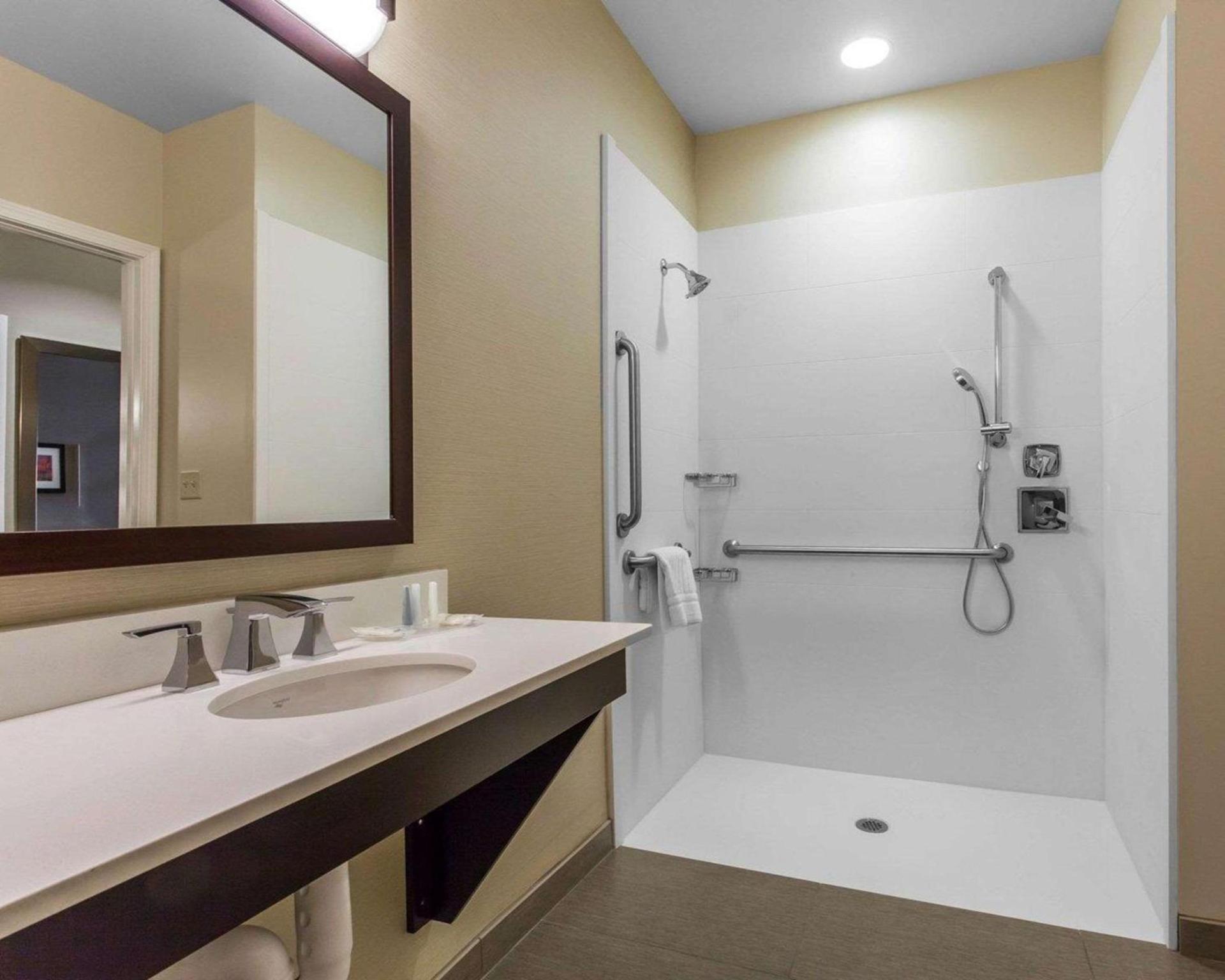Comfort Suites-Youngstown North photo 13