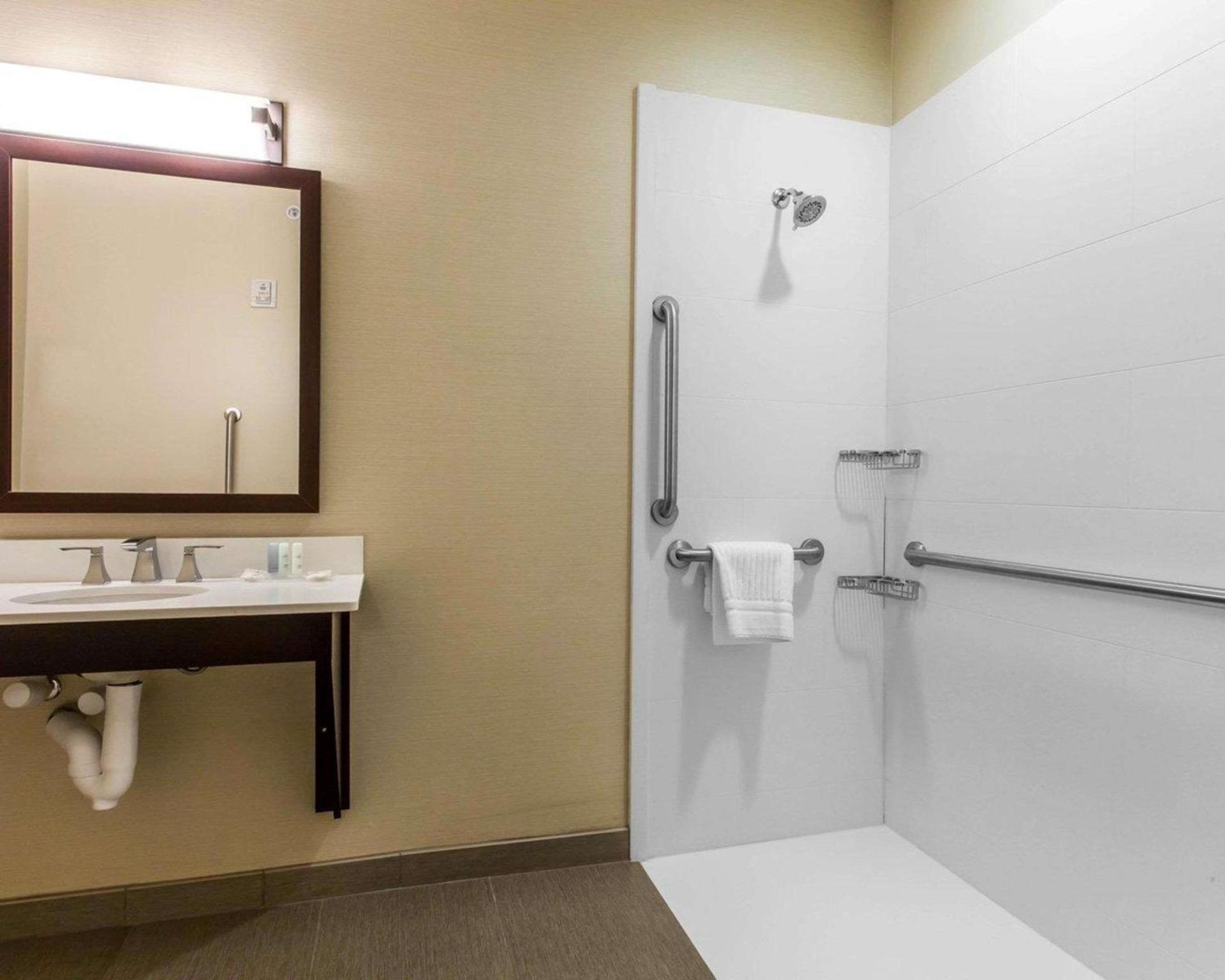 Comfort Suites-Youngstown North photo 14