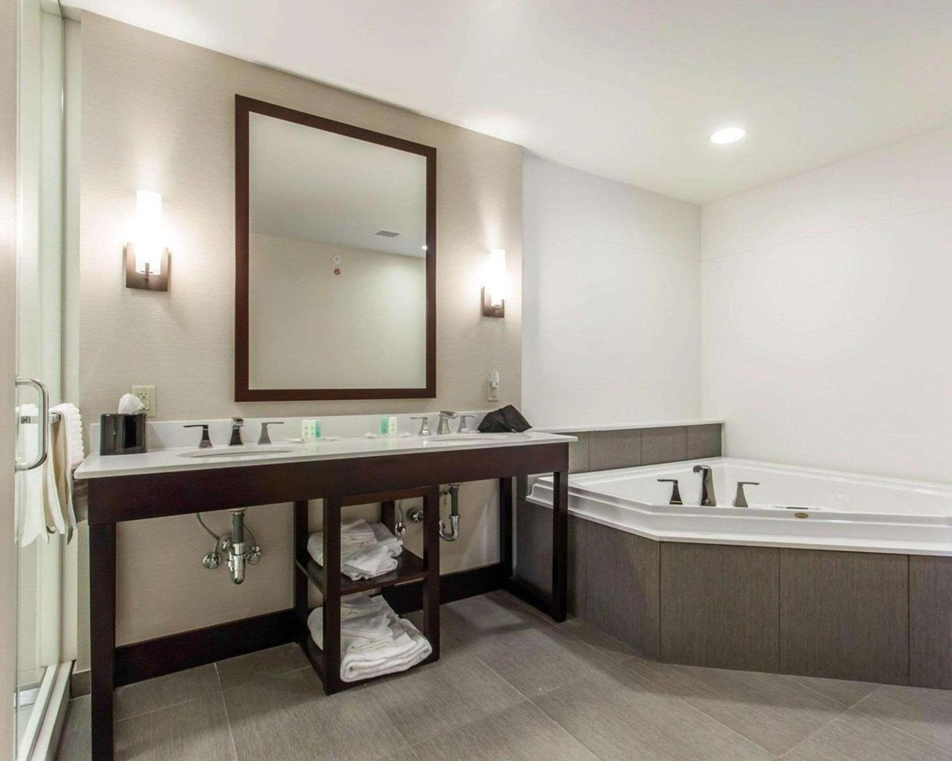 Comfort Suites-Youngstown North photo 18