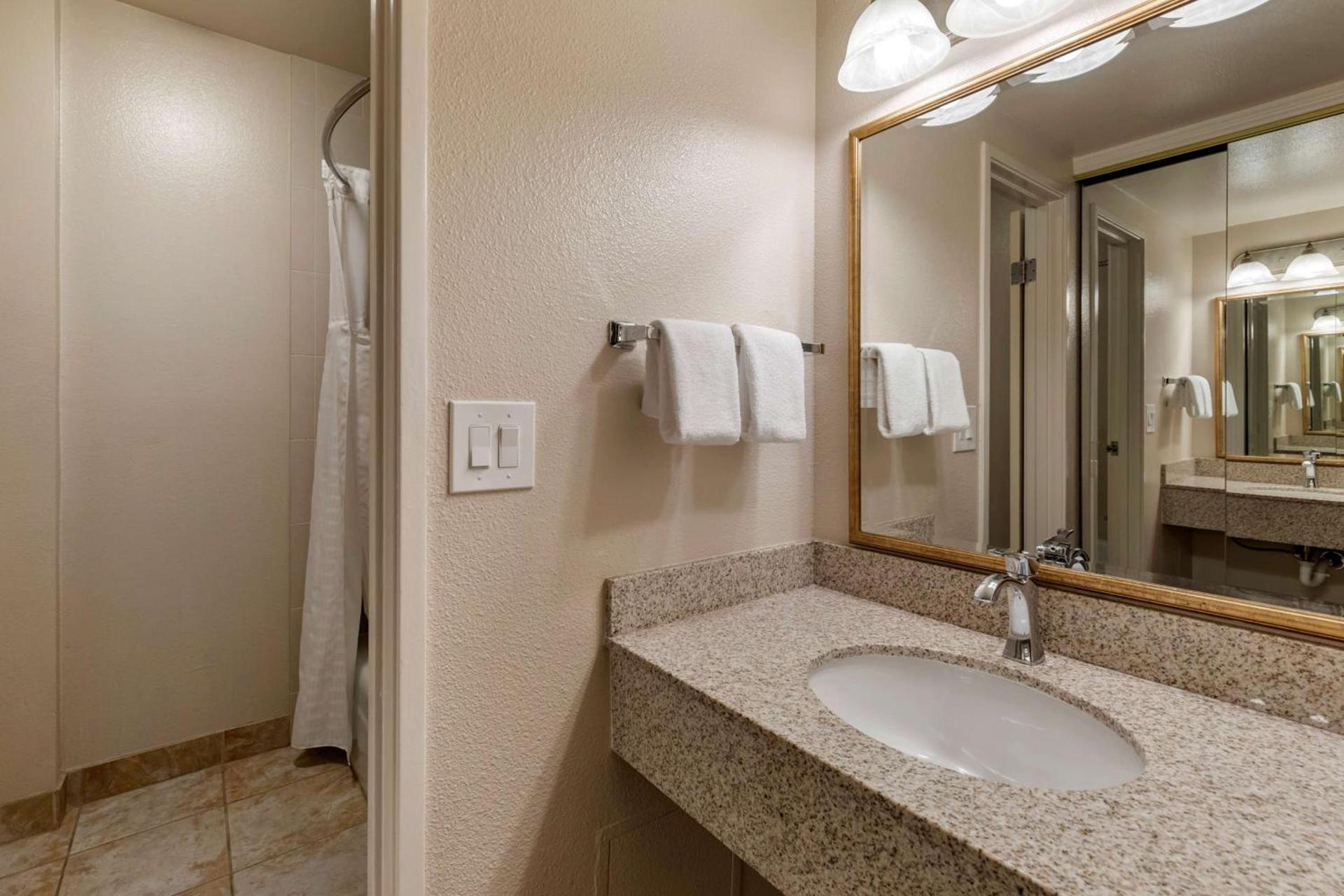 Best Western Plus Royal Oak Hotel photo 25
