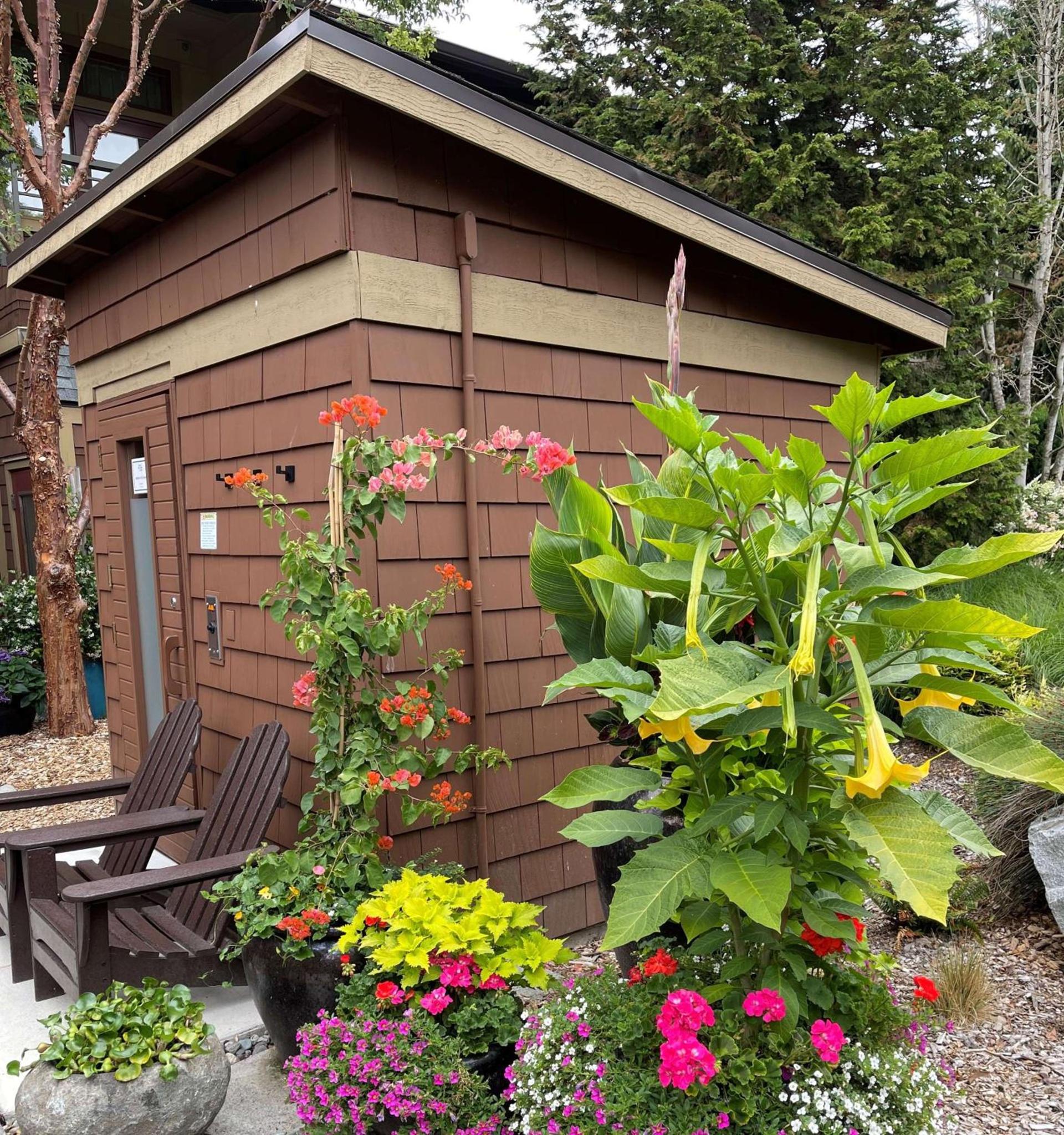 Willows Lodge photo 65