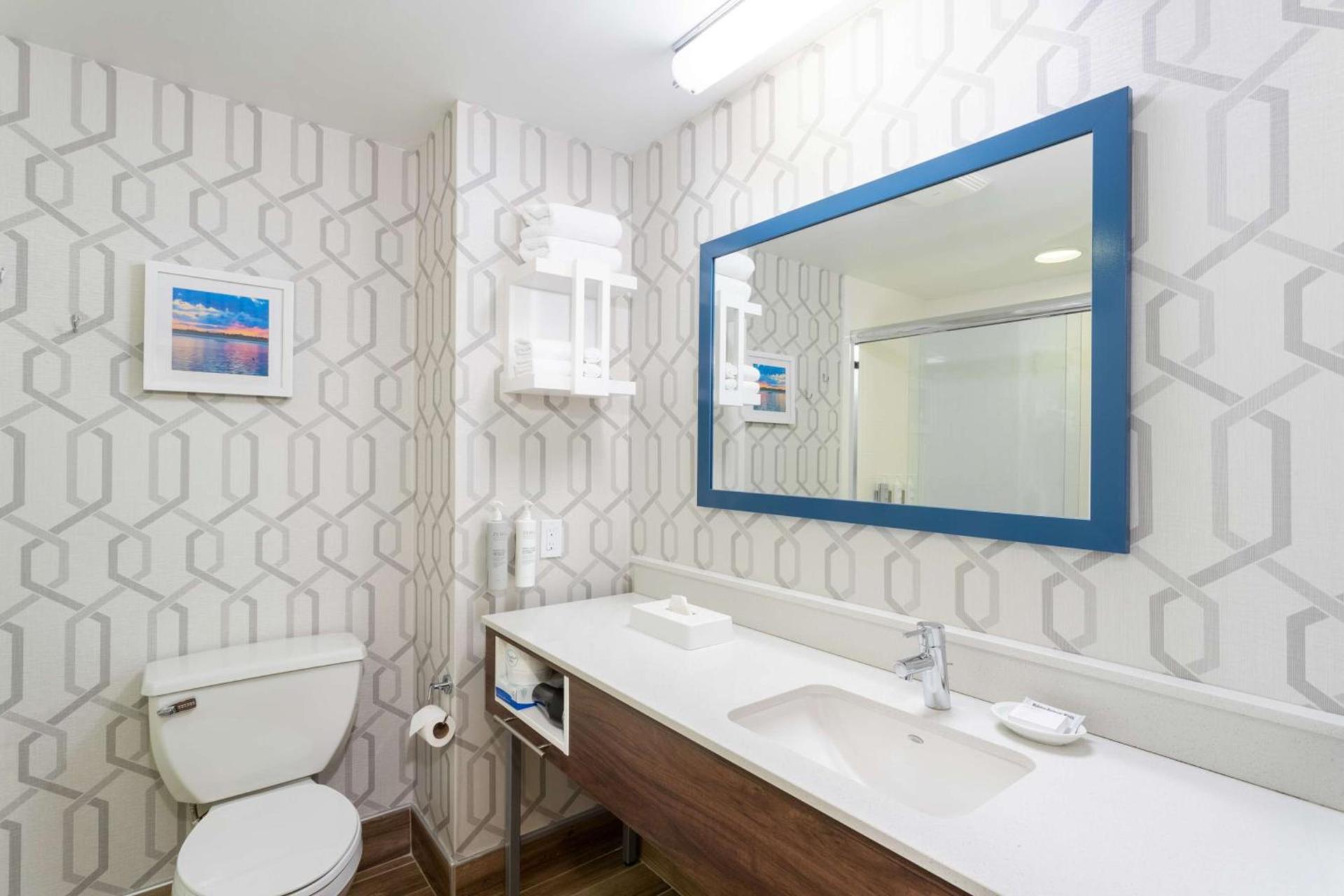 Hampton Inn Buffalo-South/I-90 photo 23