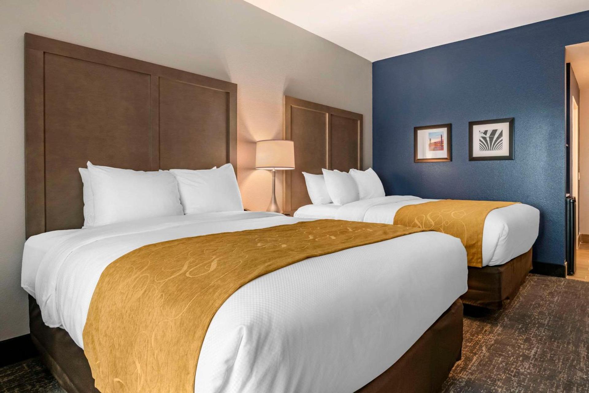 Comfort Inn & Suites Jacksonville - Orange Park Near Naval Air Station photo 10