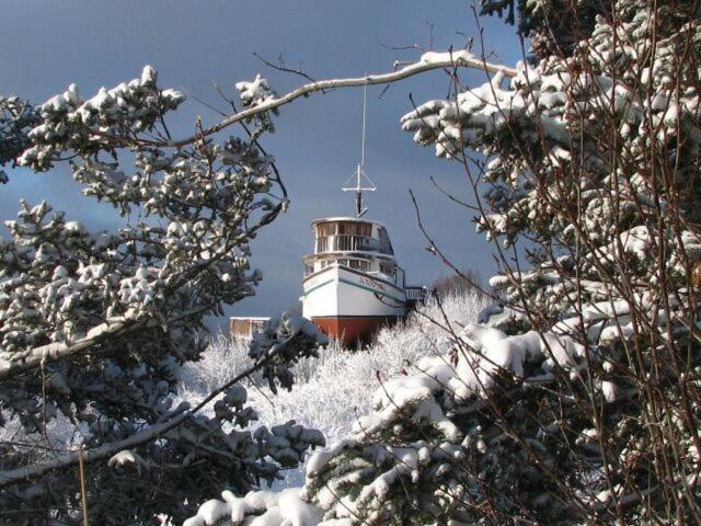 Alaska Adventure Cabins photo 78