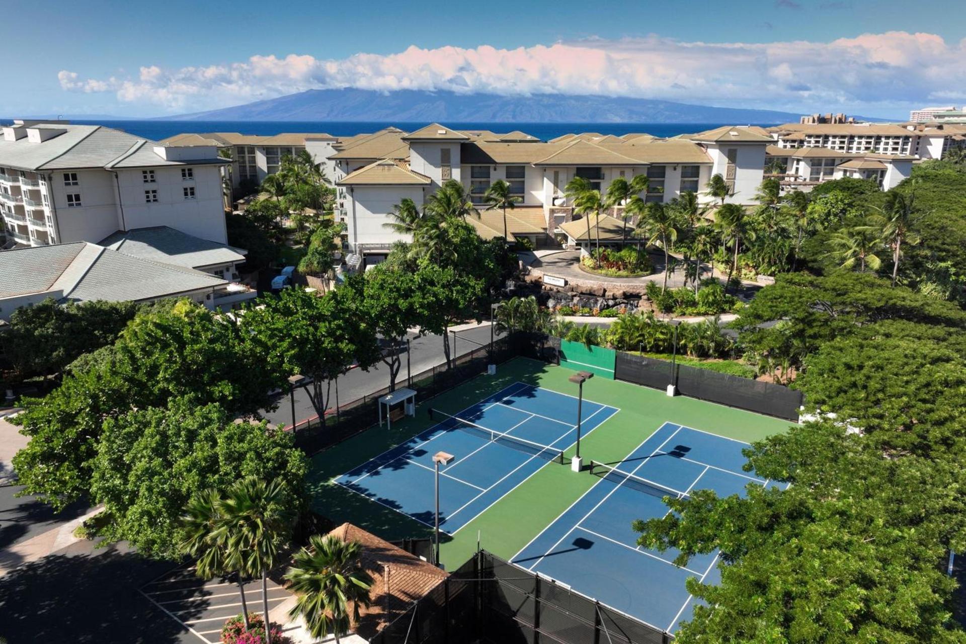 The Westin Ka'anapali Ocean Resort Villas North photo 54