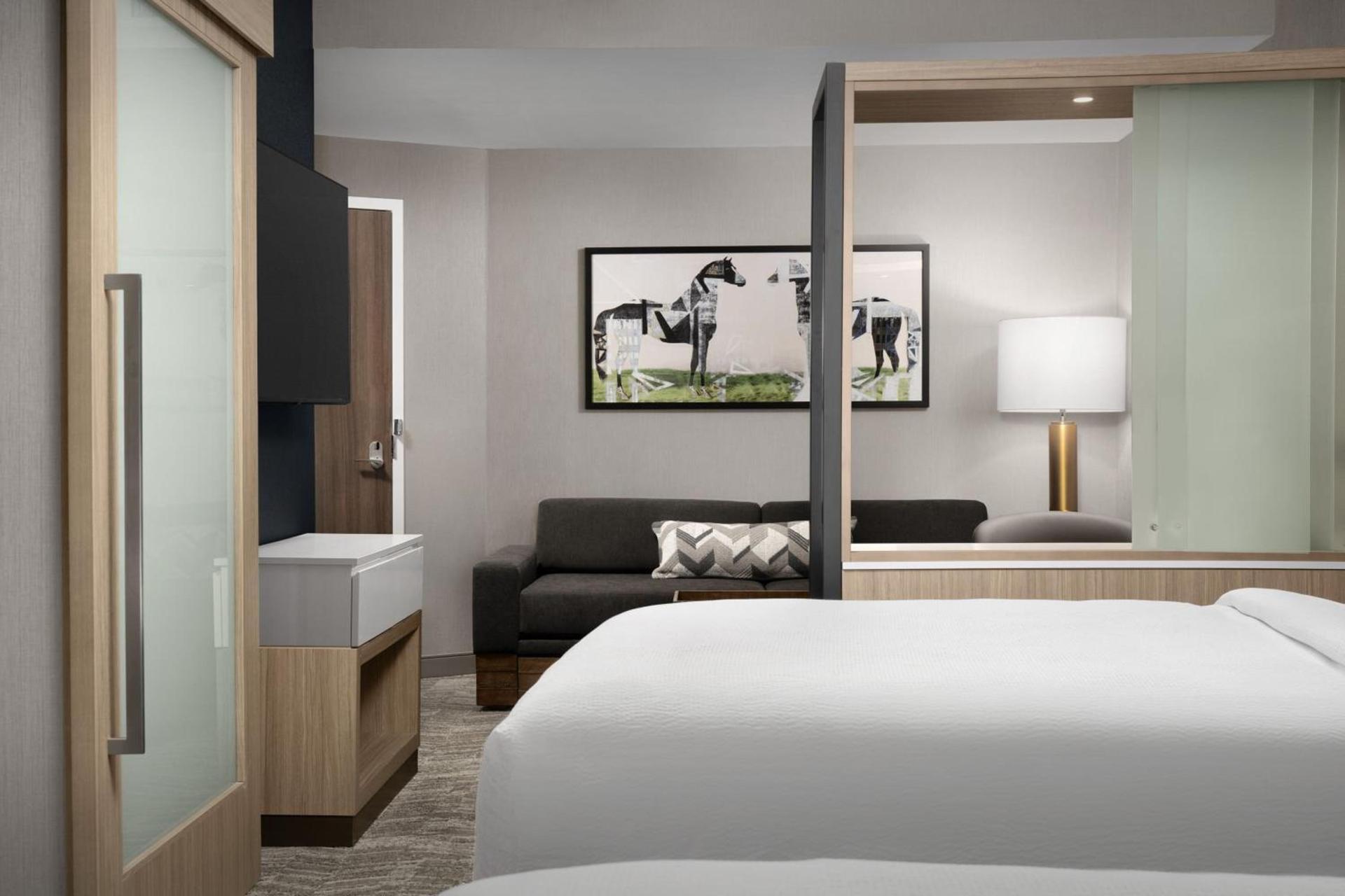 Springhill Suites by Marriott Lexington Fritz Farm photo 16
