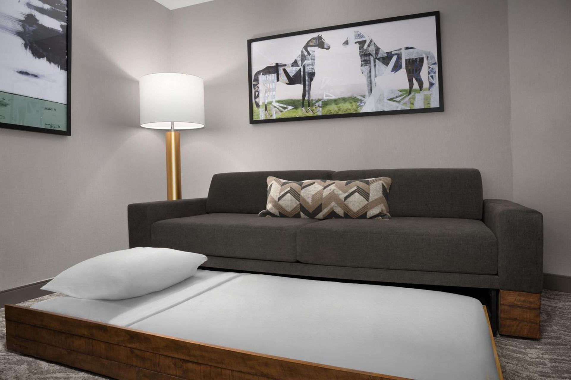 Springhill Suites by Marriott Lexington Fritz Farm photo 18