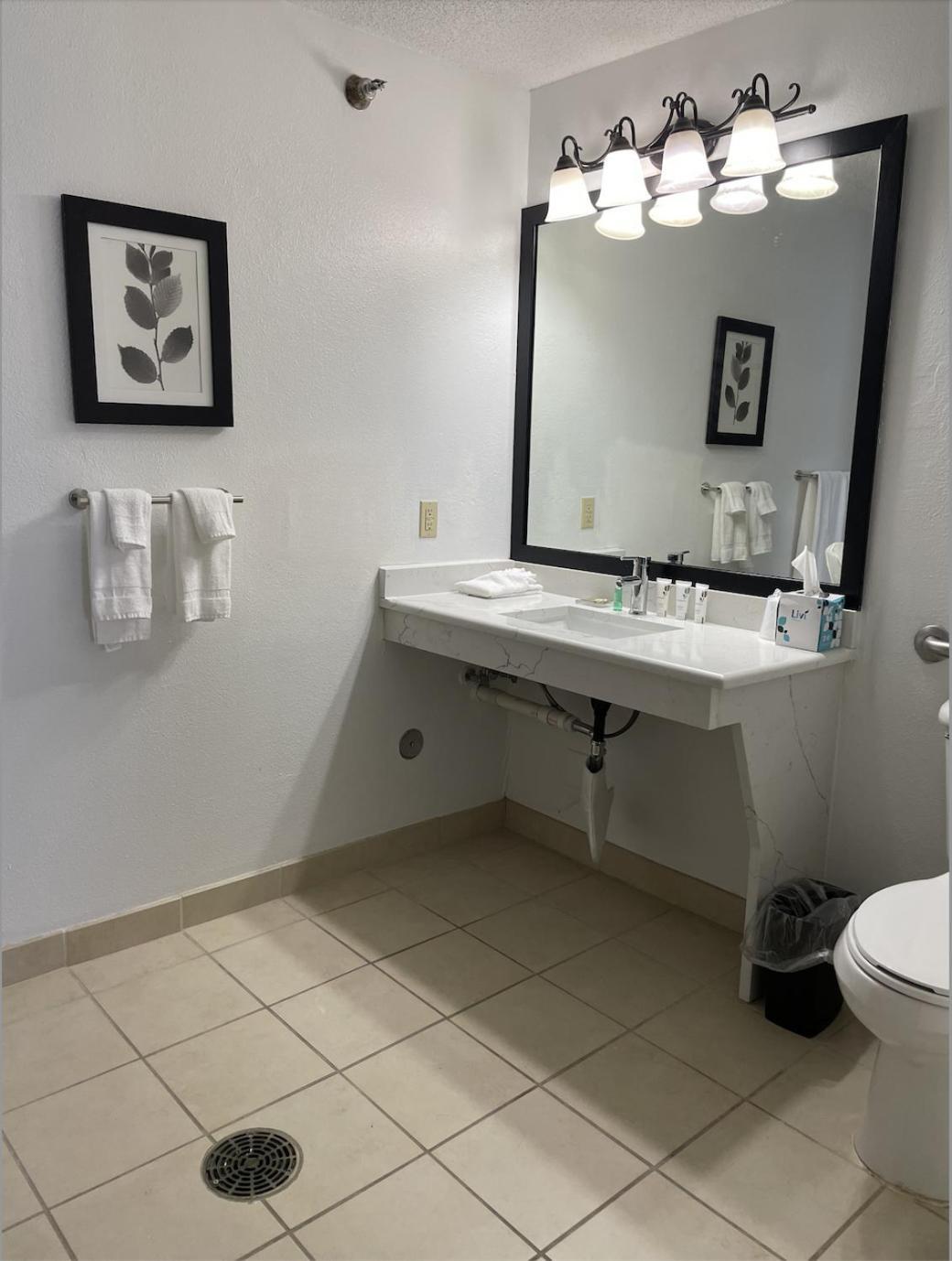 HARMONY INN & SUITES photo 39