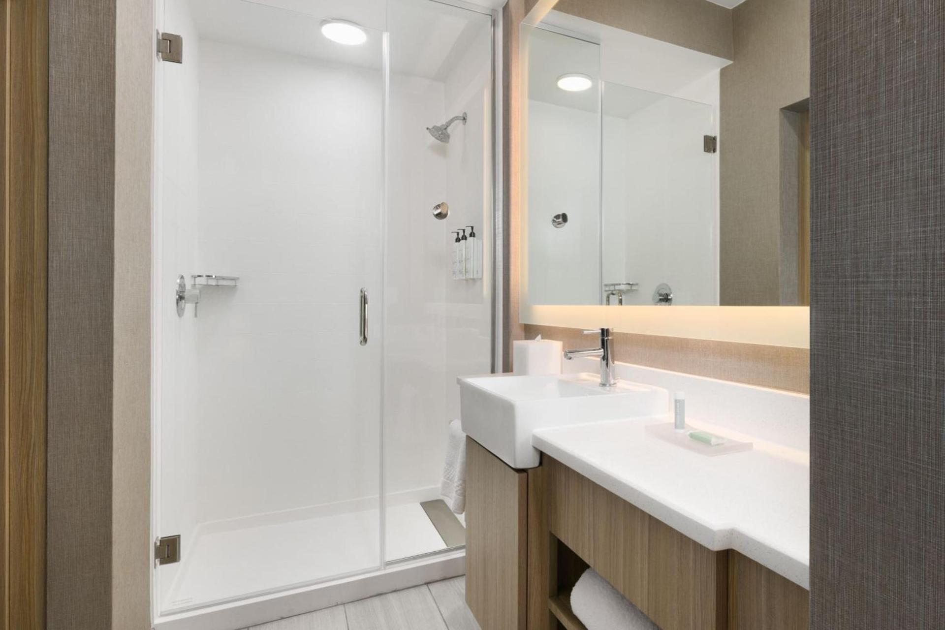 SpringHill Suites by Marriott Dothan photo 18
