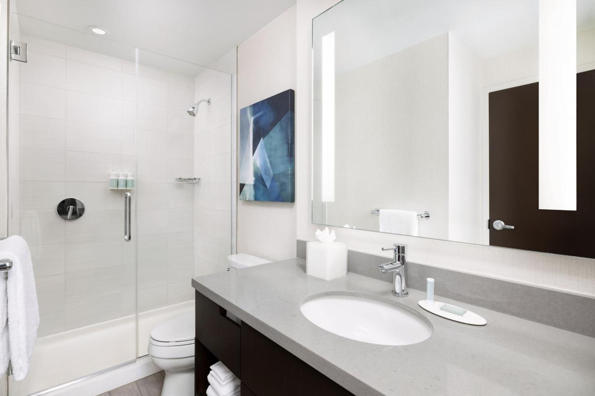 Residence Inn by Marriott New York Downtown Manhattan/World Trade Center Area photo 29