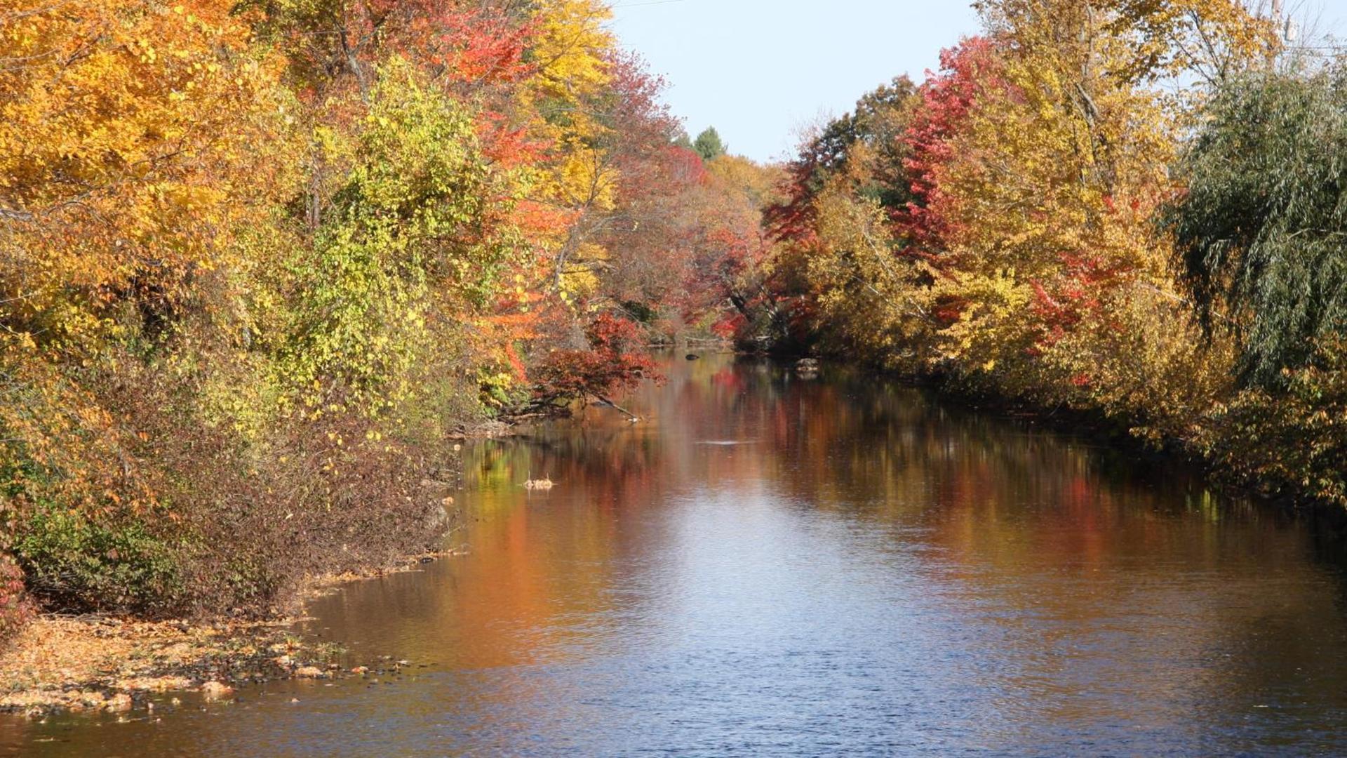 Riverhouse by Weekender formerly Jack Daniels Inn photo 31