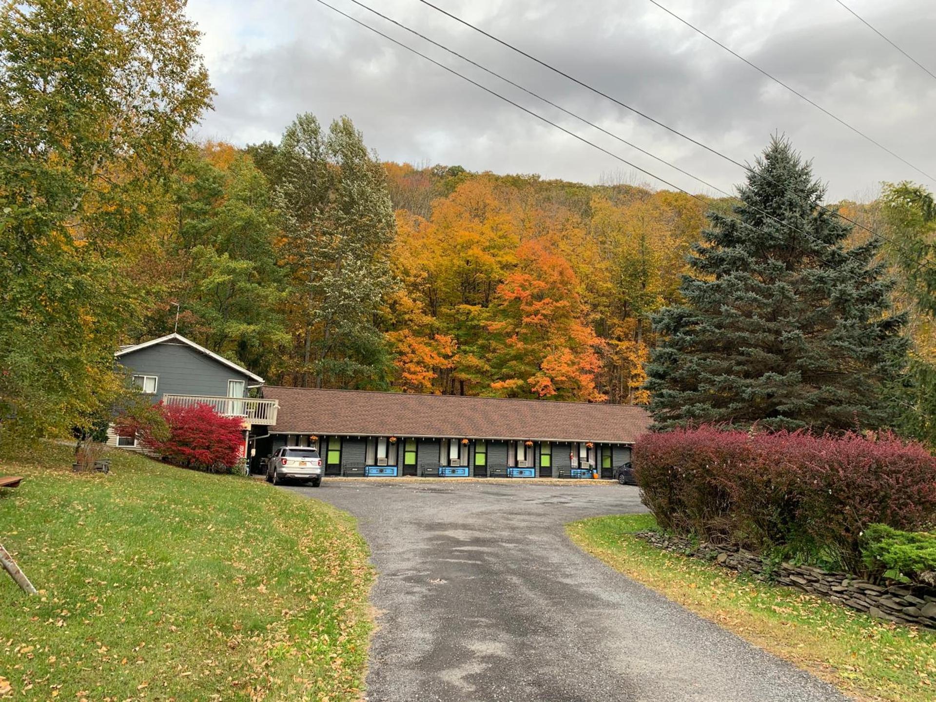 Starlite Motel & Suites photo 27