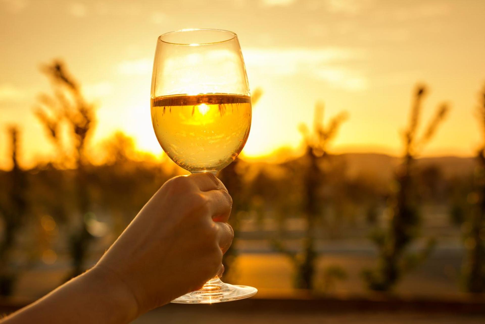 Allegretto Vineyard Resort Paso Robles photo 34