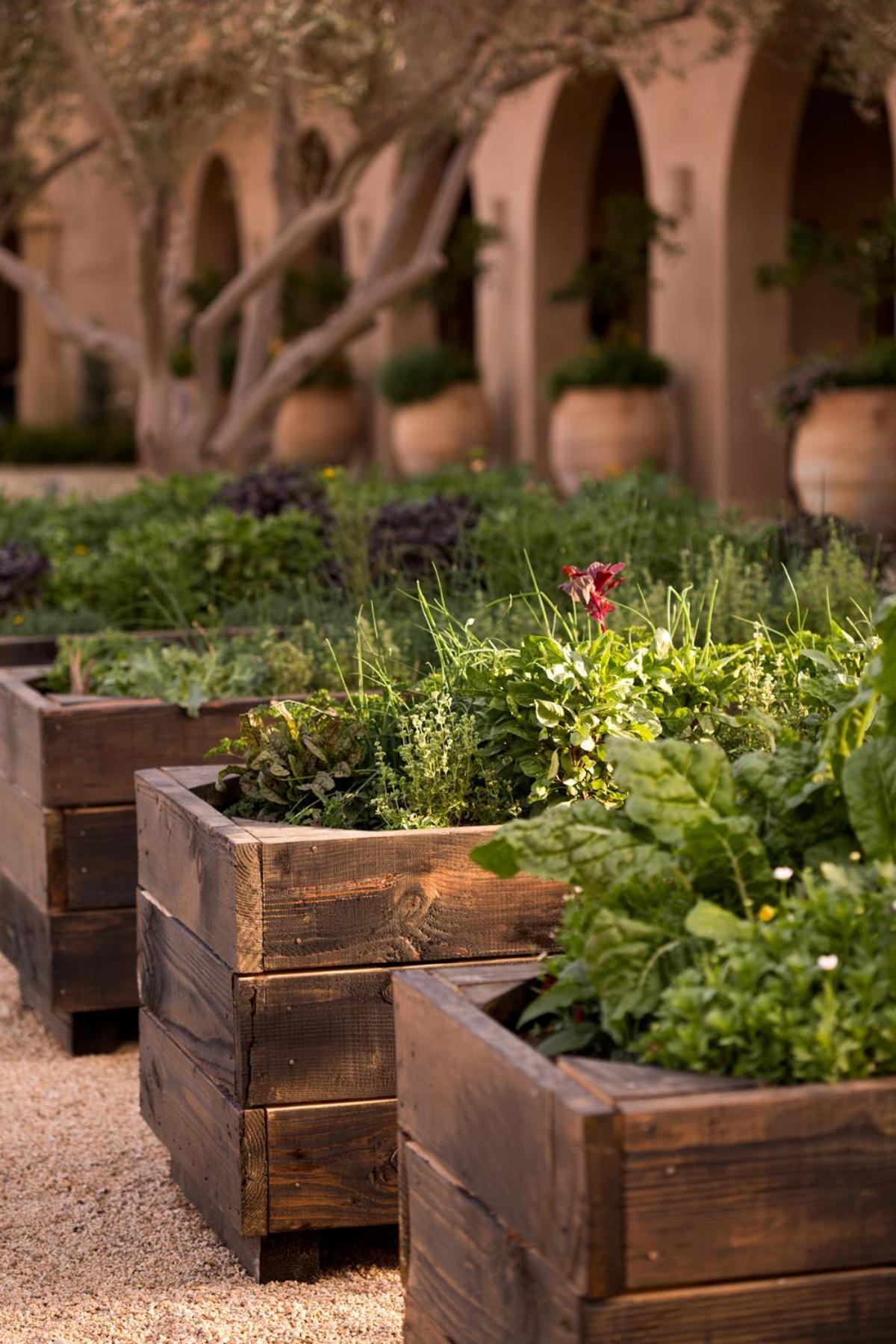 Allegretto Vineyard Resort Paso Robles photo 51
