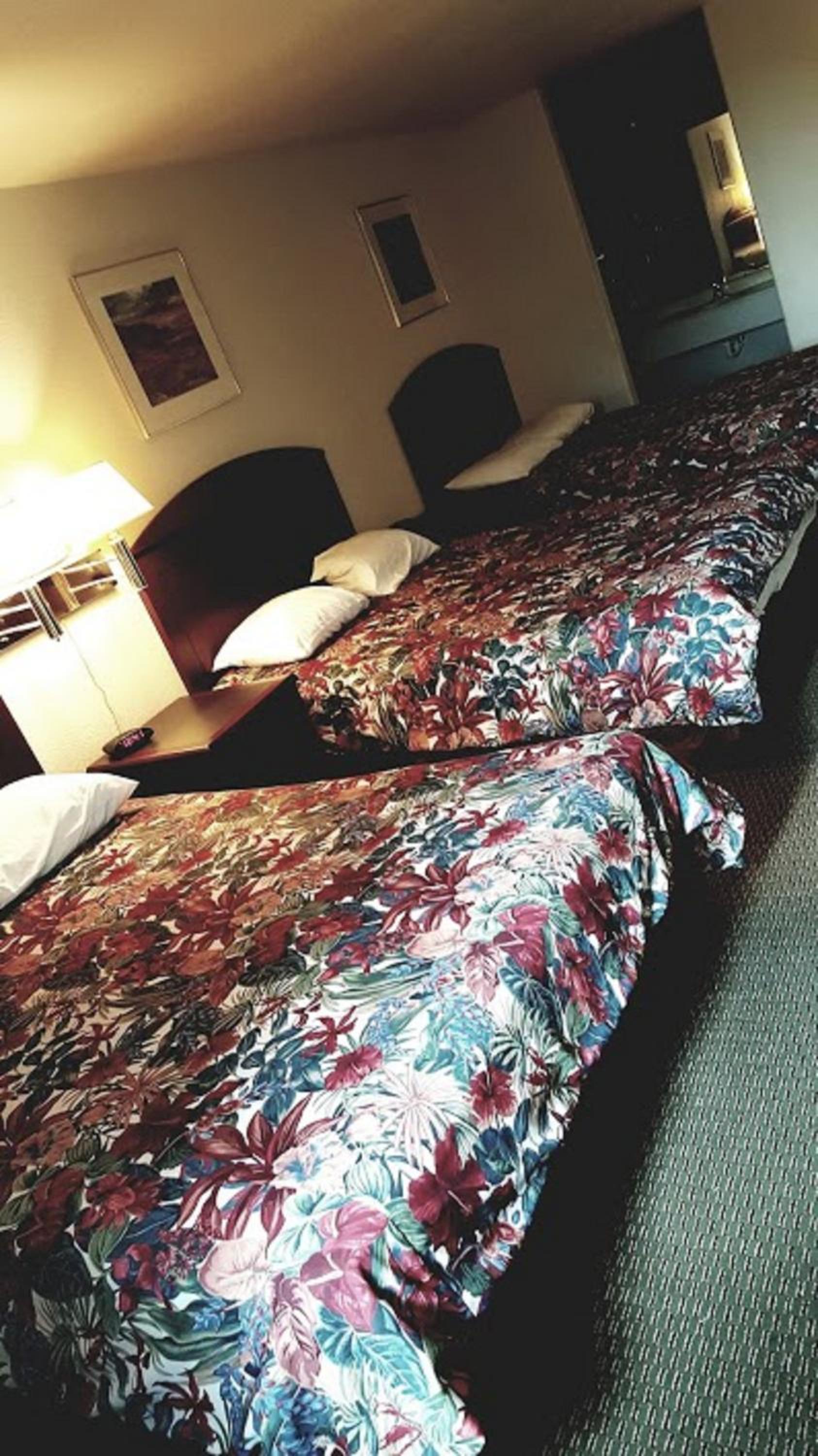 Cedar Creek Inn photo 48