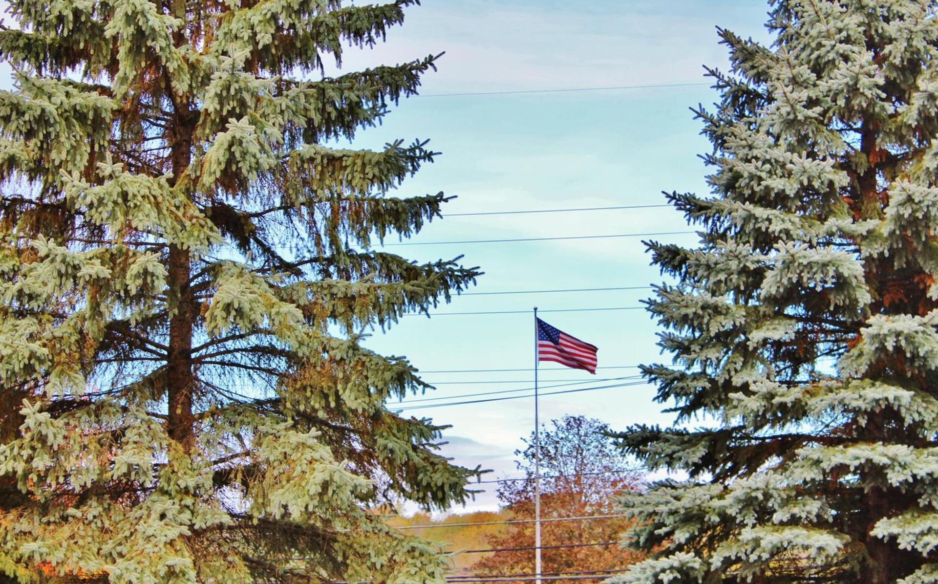 Blue Spruce Motel photo 37