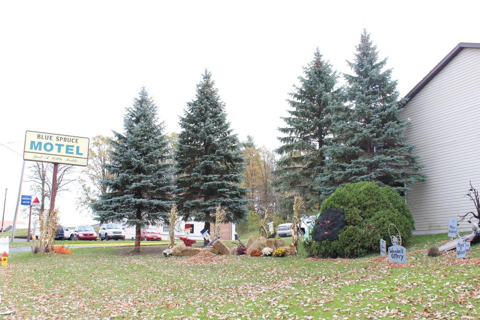 Blue Spruce Motel photo 39