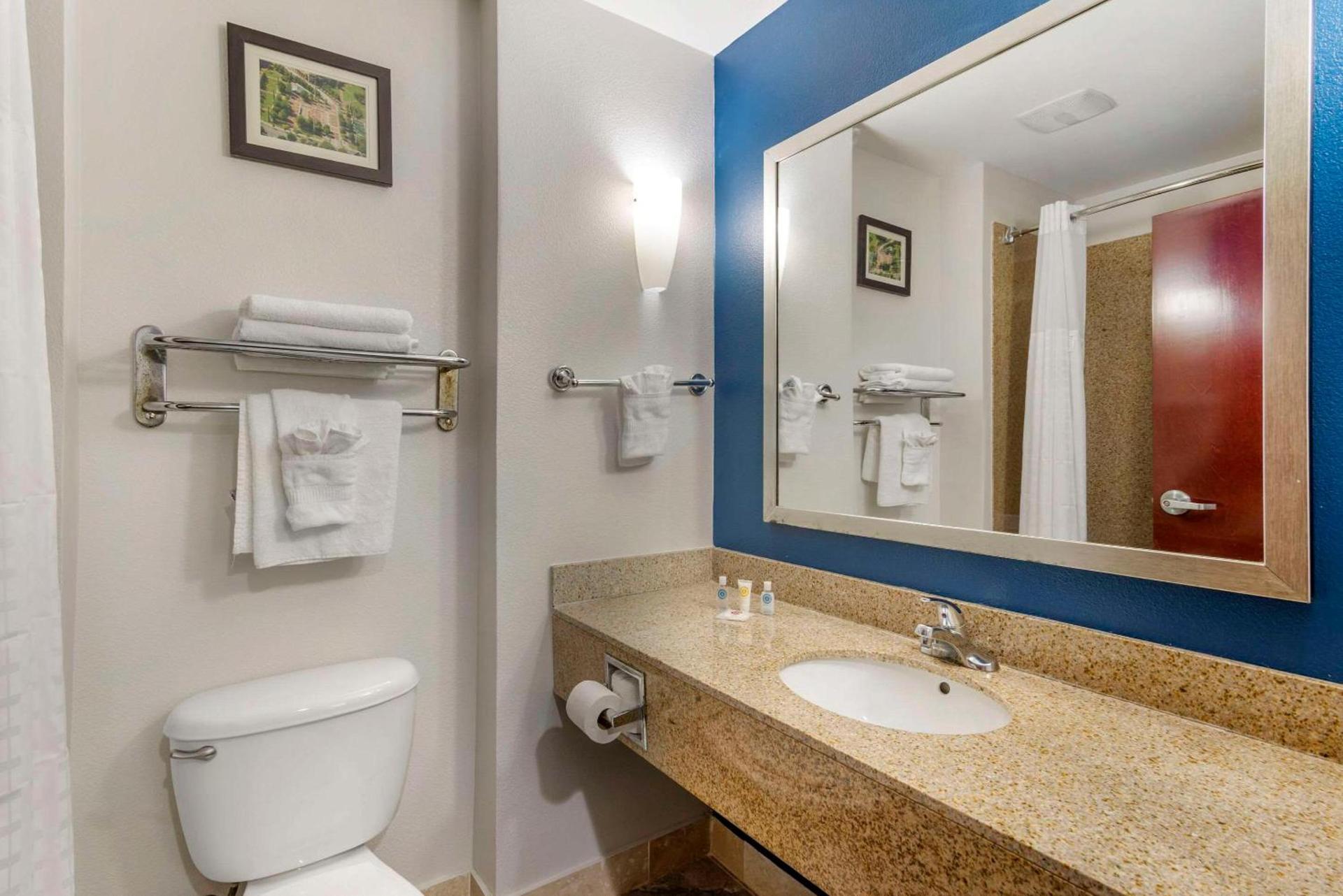 Comfort Suites Atlanta Airport photo 8